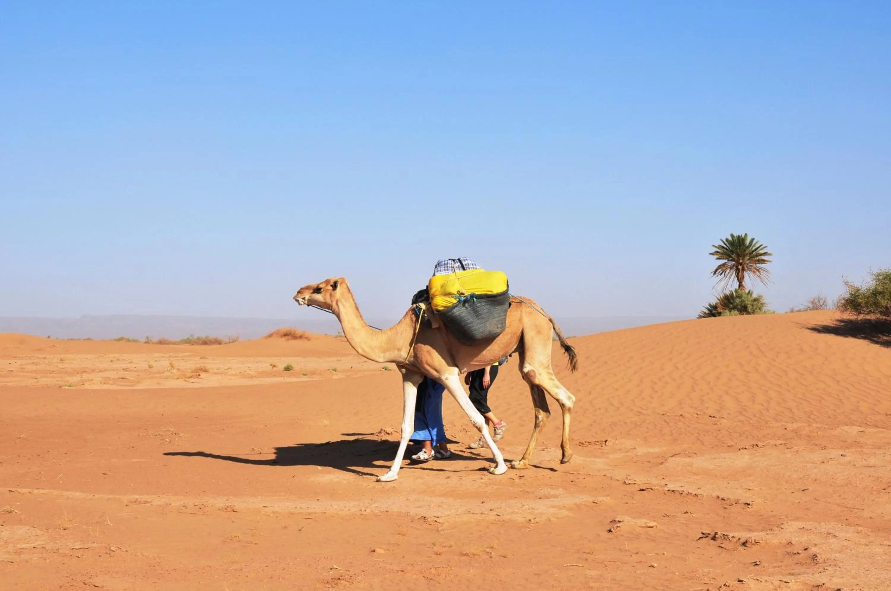 Hiking in Auberge Restaurant le Safran