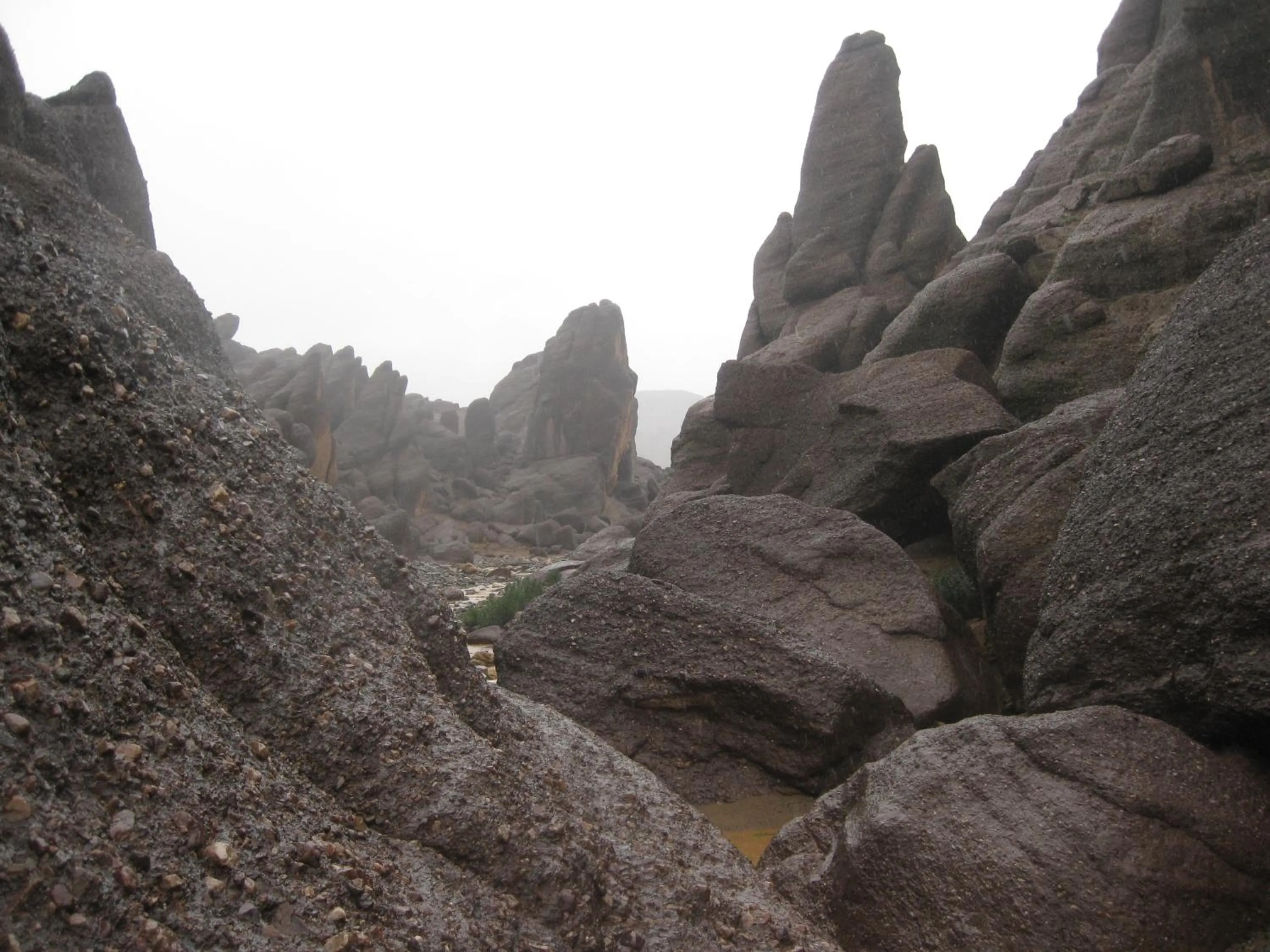 Entertainment in Auberge Restaurant le Safran