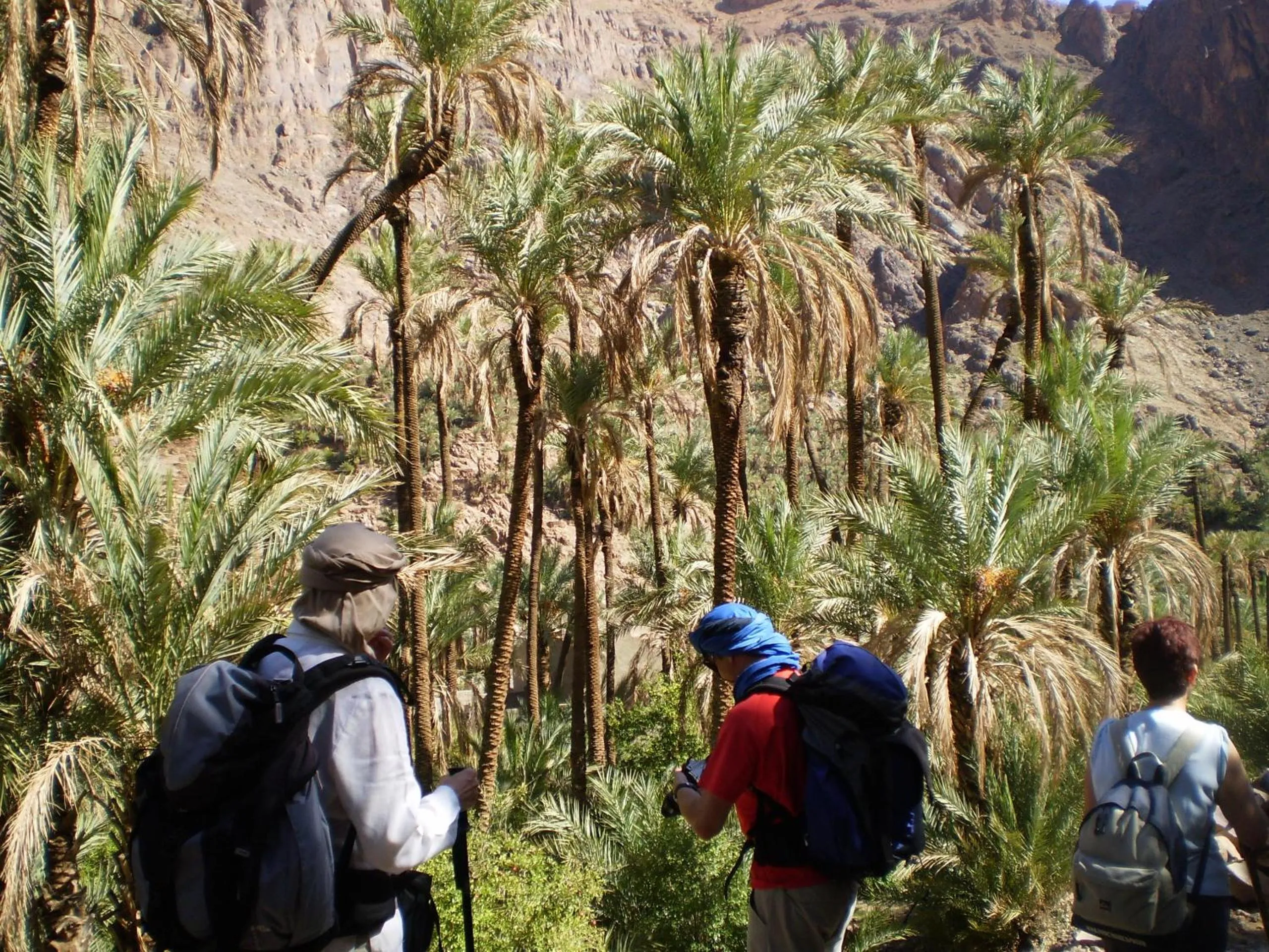 Hiking in Auberge Restaurant le Safran