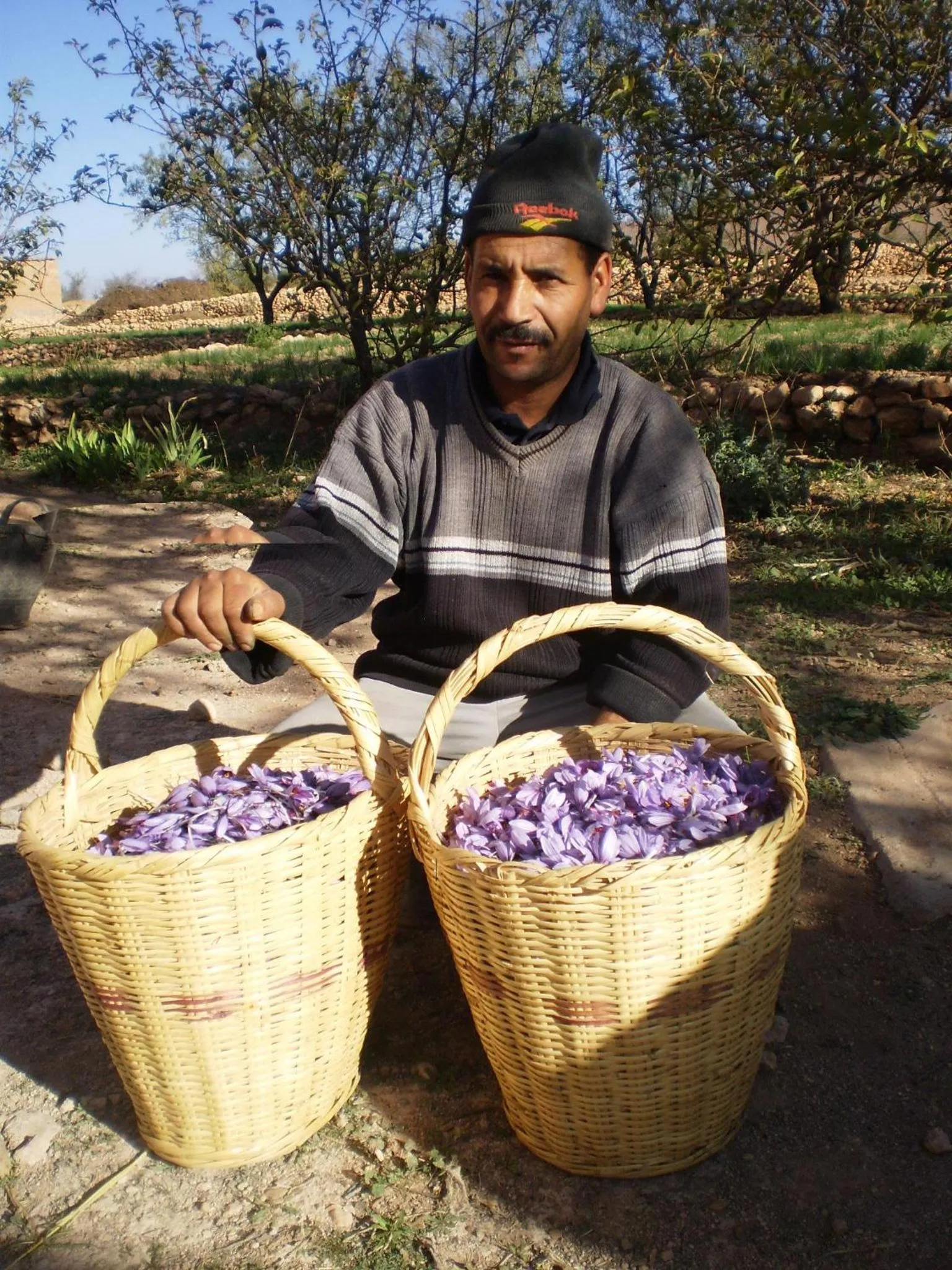 Entertainment in Auberge Restaurant le Safran