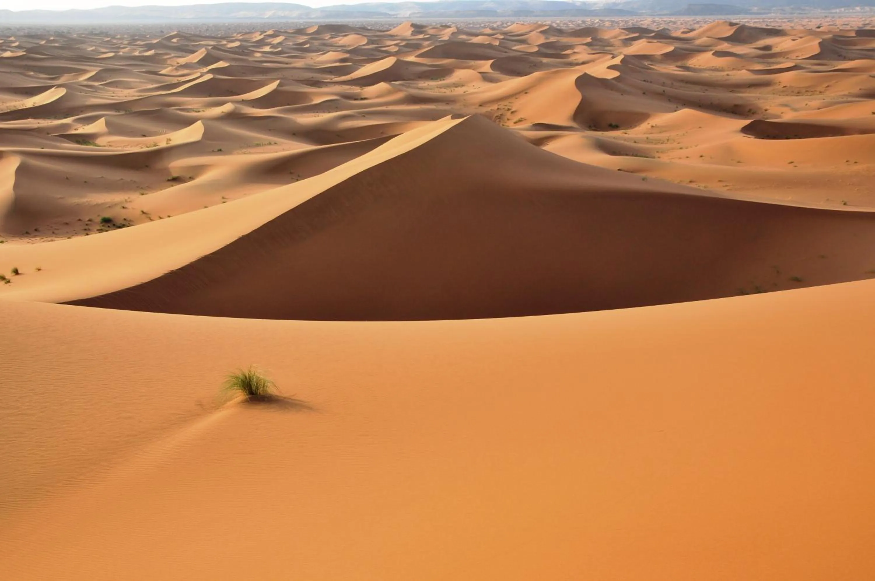 Hiking in Auberge Restaurant le Safran