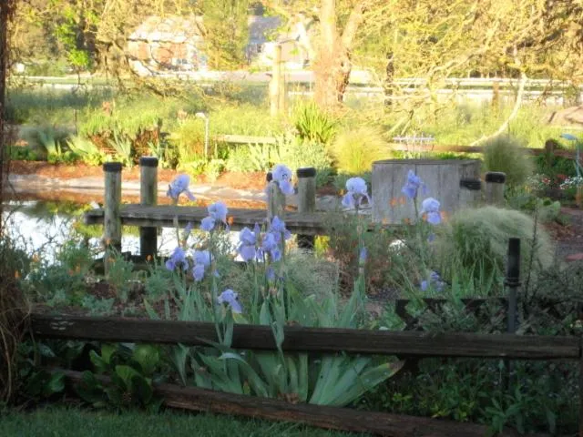 Pearlessence Vineyard Inn