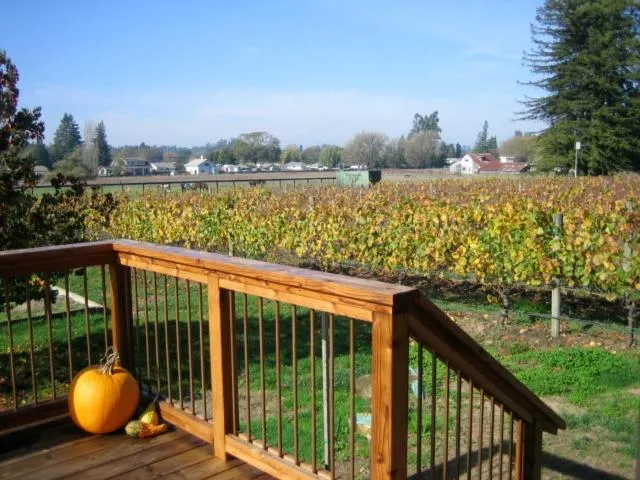 Pearlessence Vineyard Inn