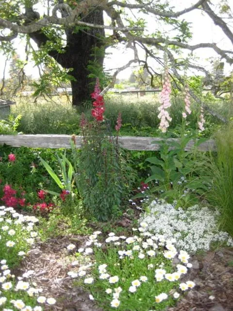 Pearlessence Vineyard Inn