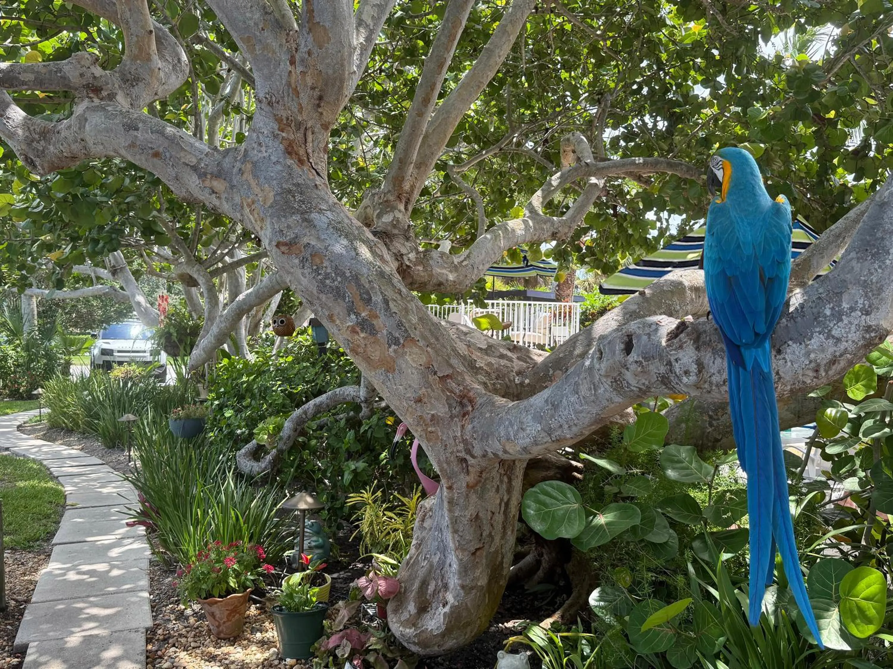 Garden view in South Beach Place - Vero Beach