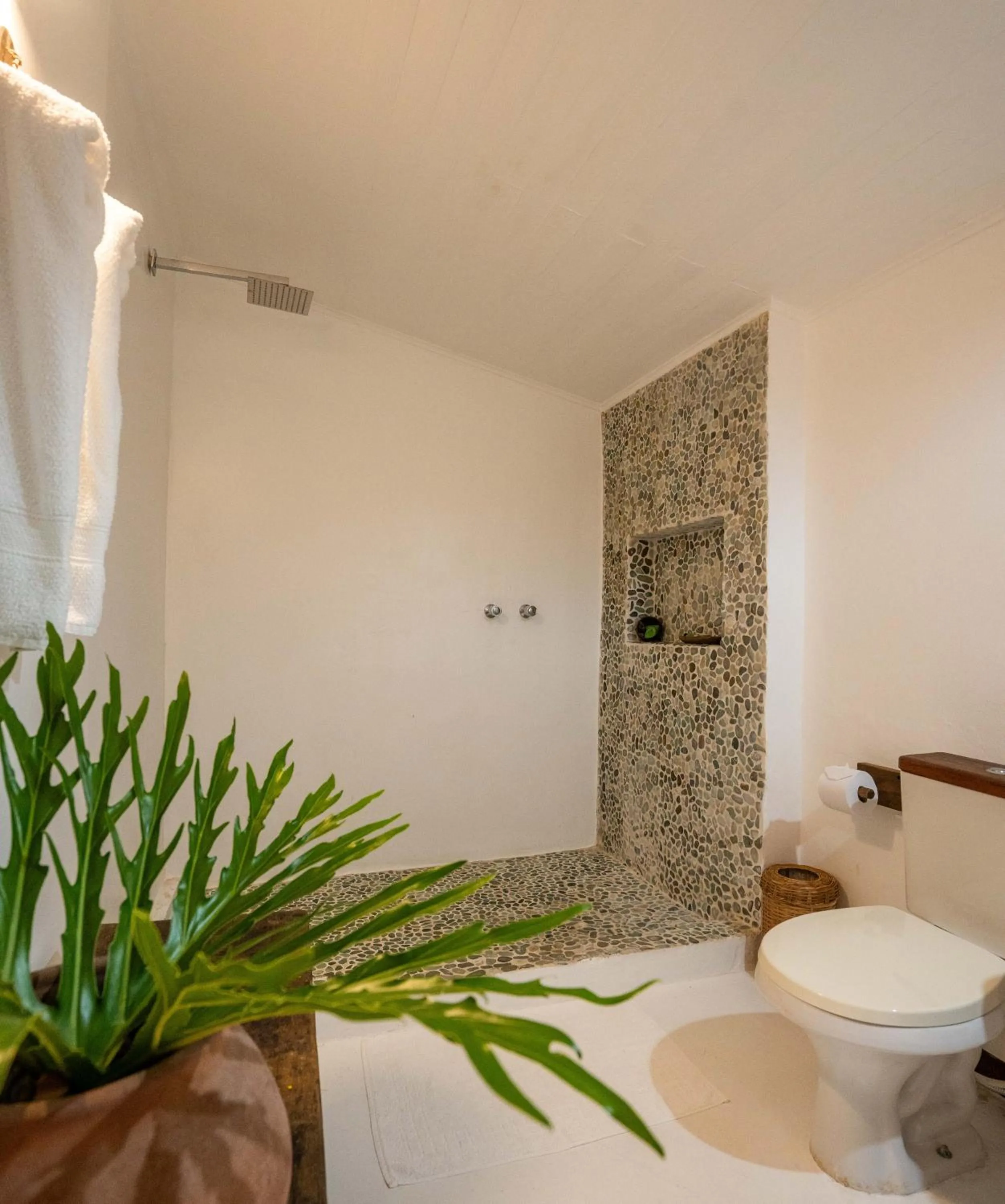 Casa e Pousada Alecrim