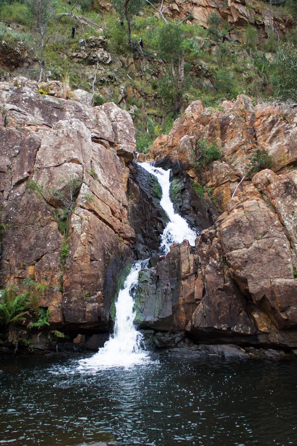 Natural landscape in Marwood Villas