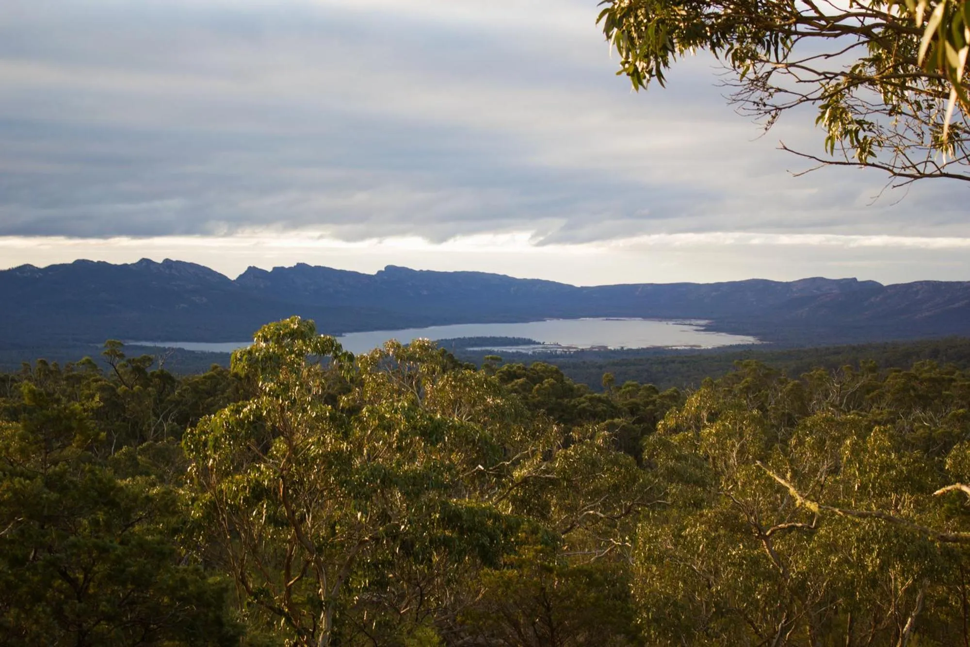 Natural landscape in Marwood Villas