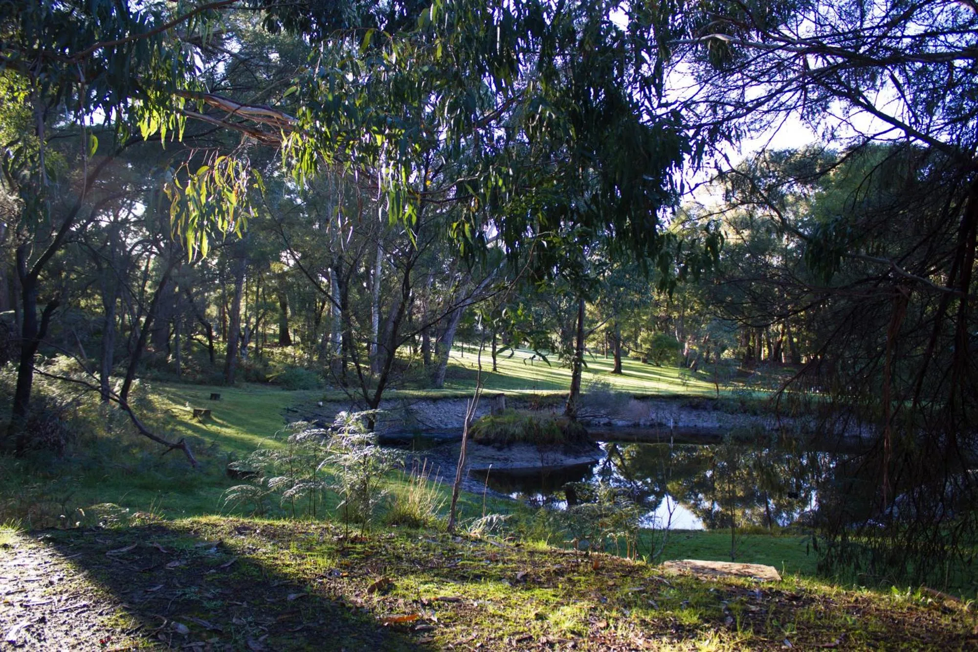 Garden in Marwood Villas