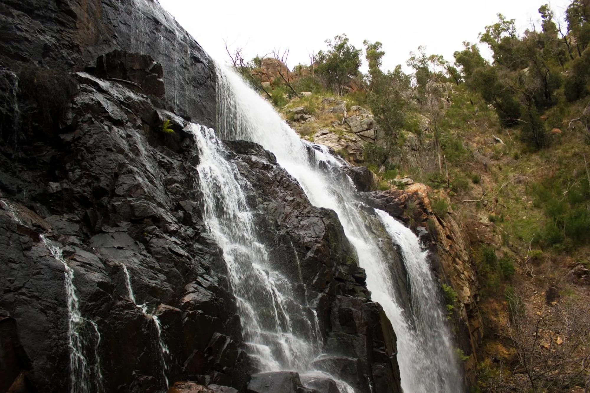 Natural landscape in Marwood Villas