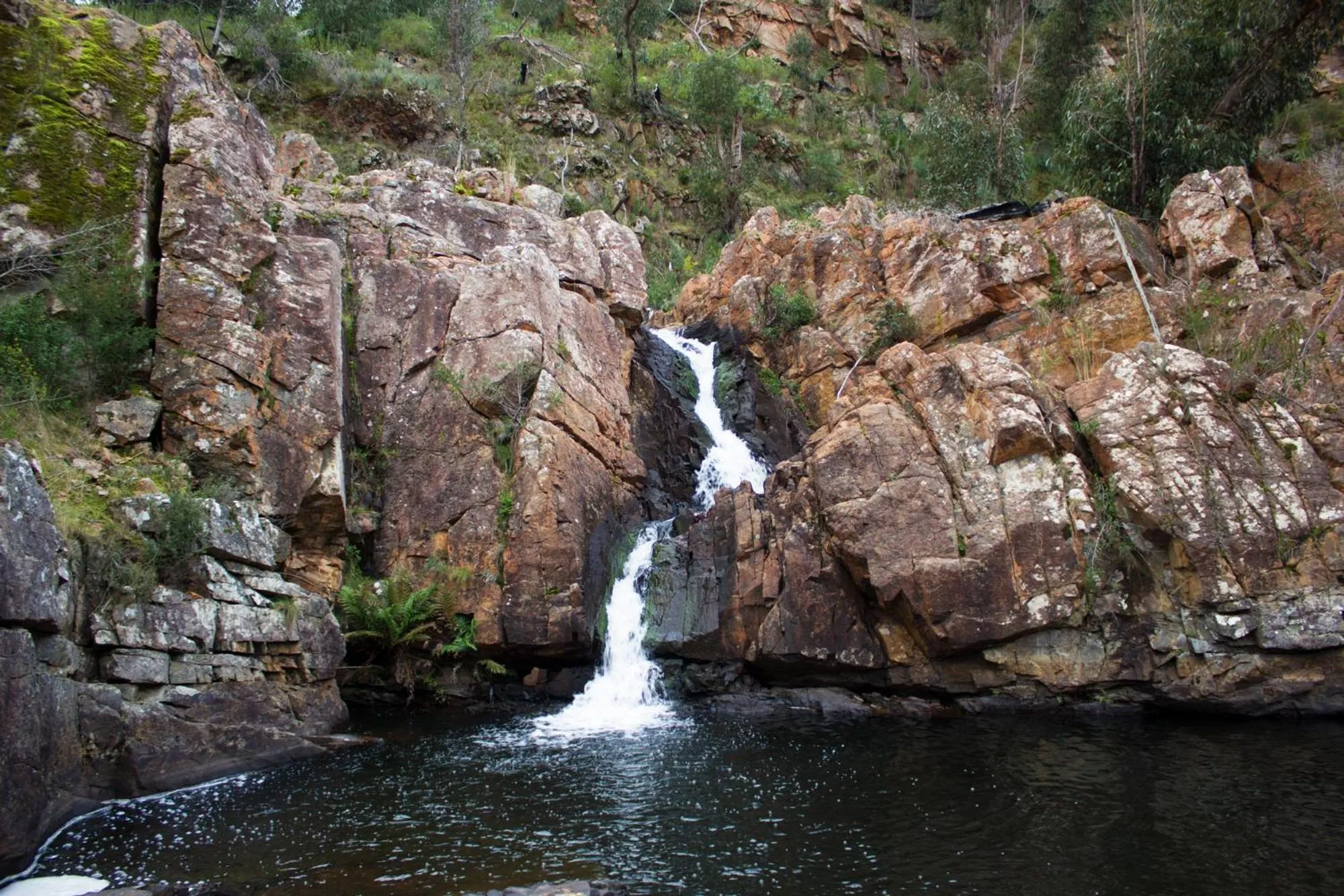Natural landscape in Marwood Villas