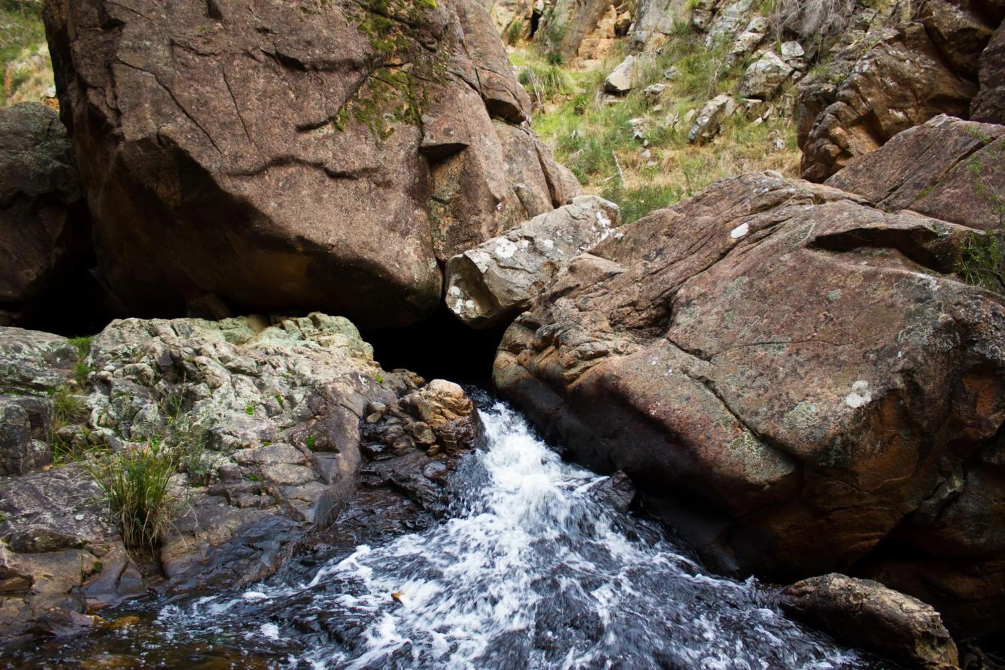 Natural landscape in Marwood Villas