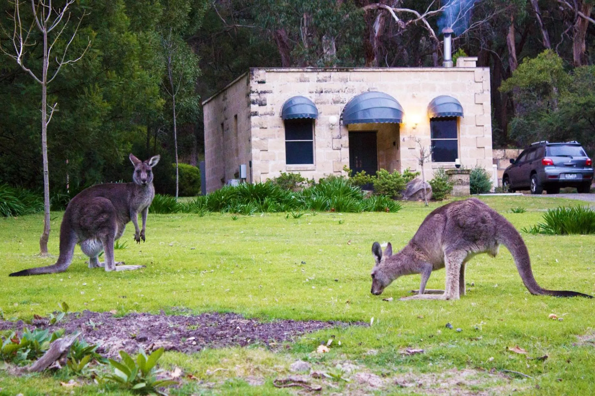 Facade/entrance in Marwood Villas