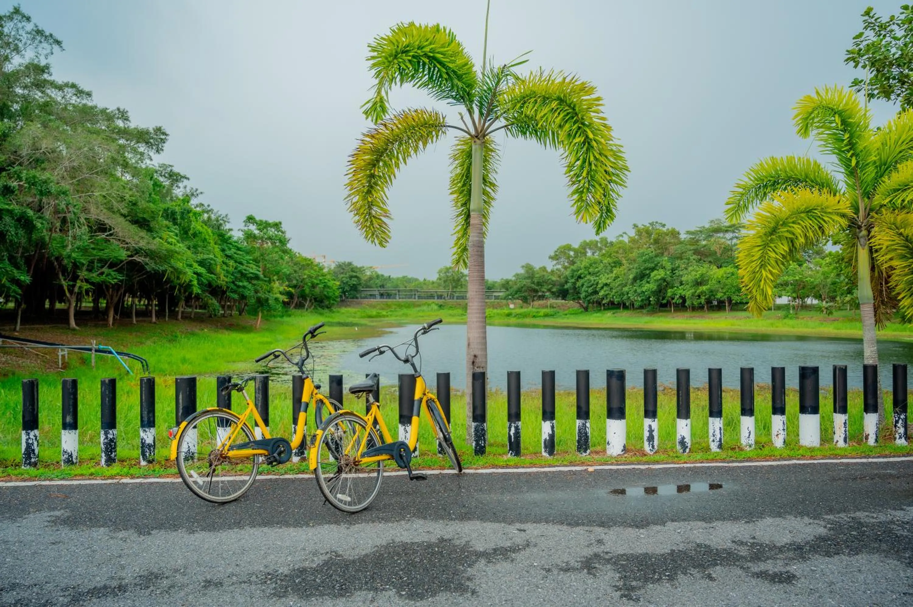 Day in Eco Hotel by Thammasat