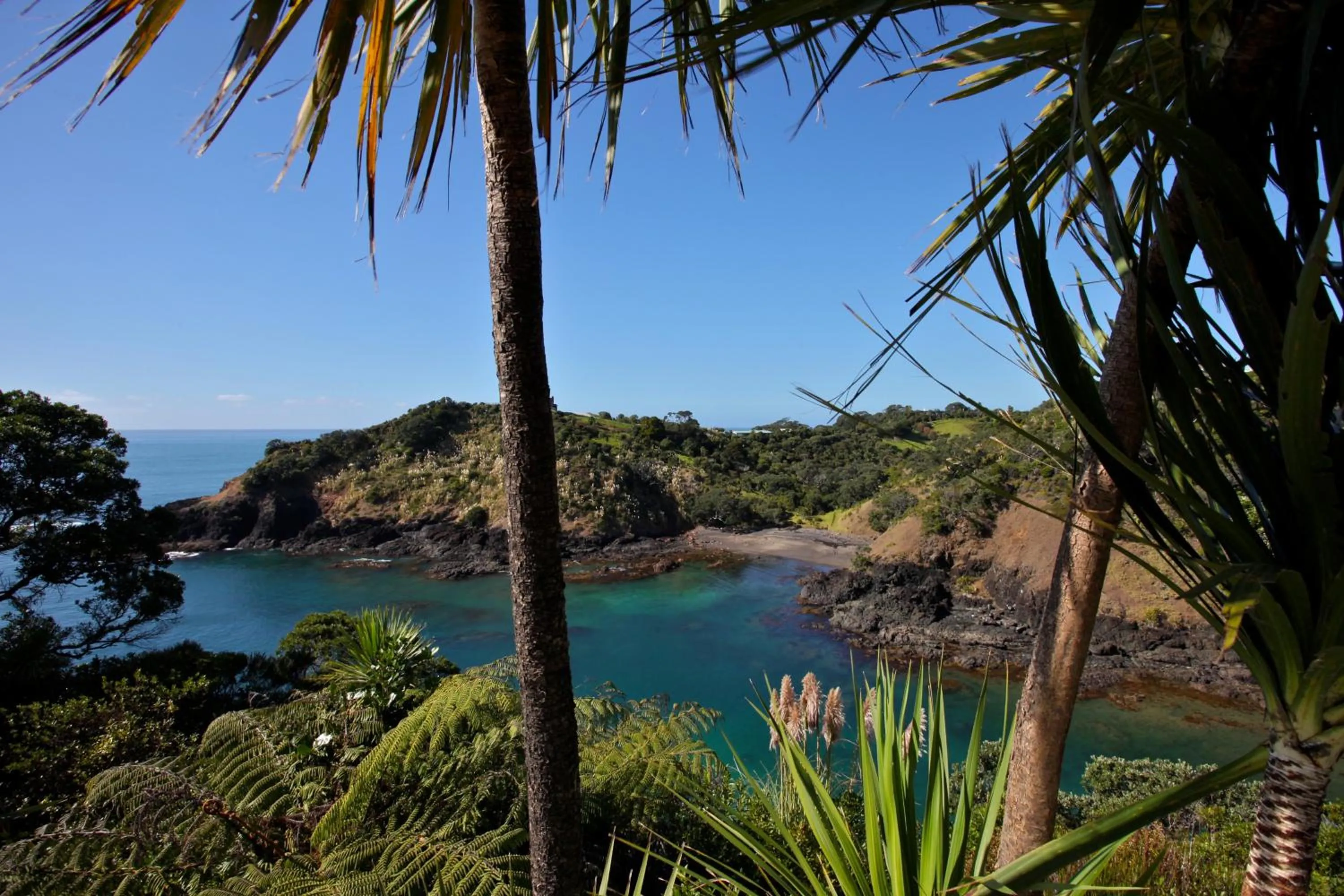 View (from property/room) in Pacific Rendezvous Resort