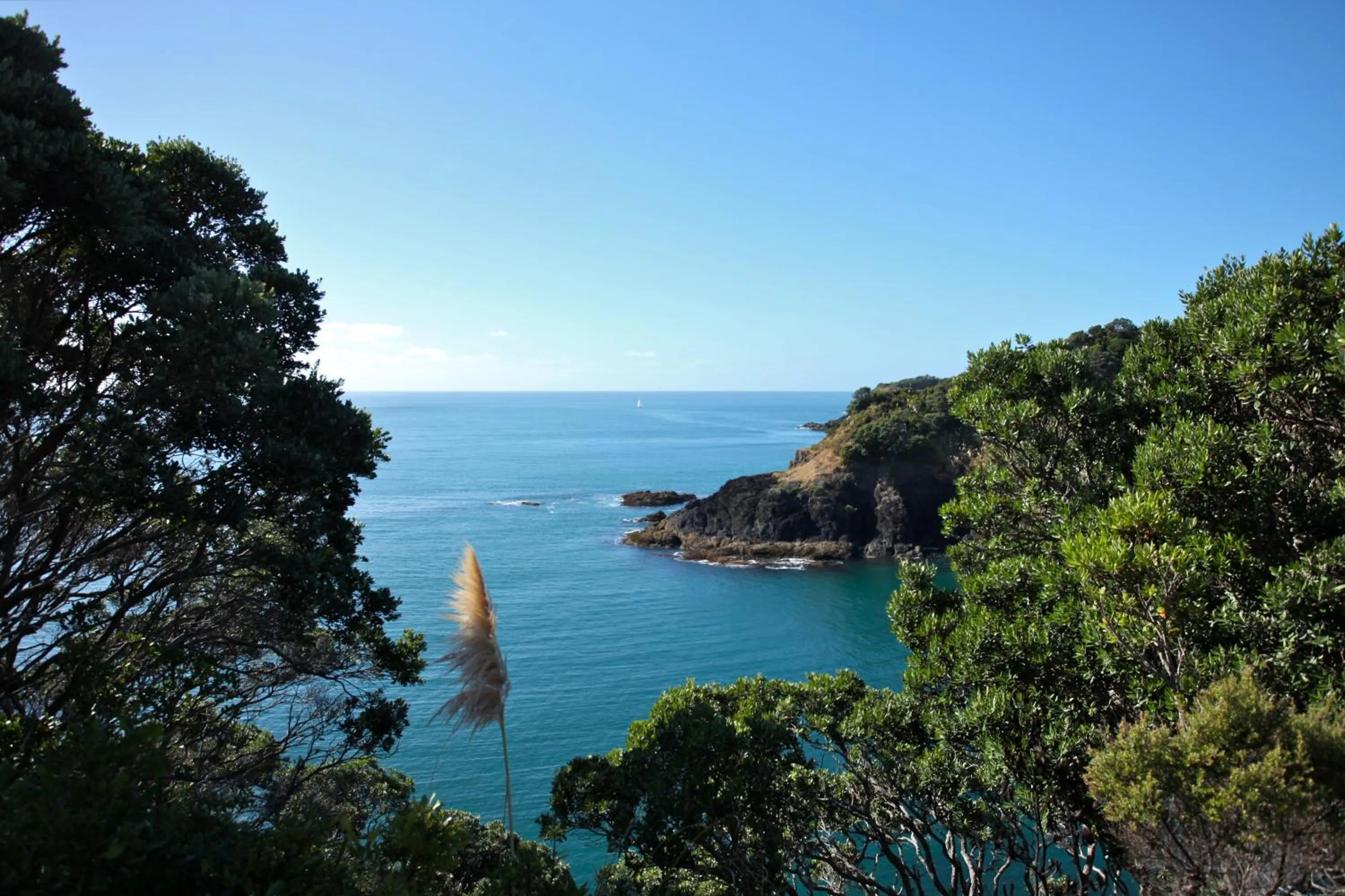 View (from property/room) in Pacific Rendezvous Resort