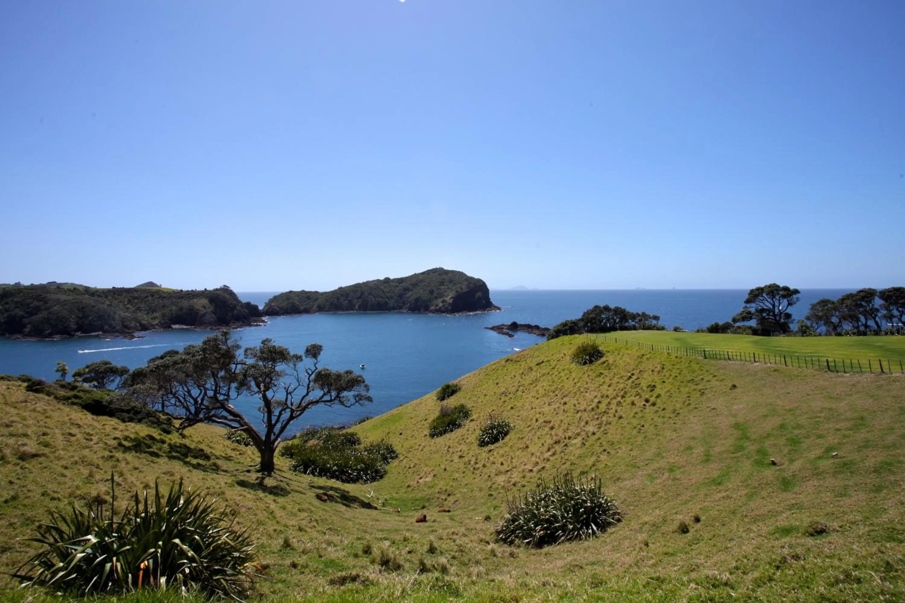 View (from property/room) in Pacific Rendezvous Resort