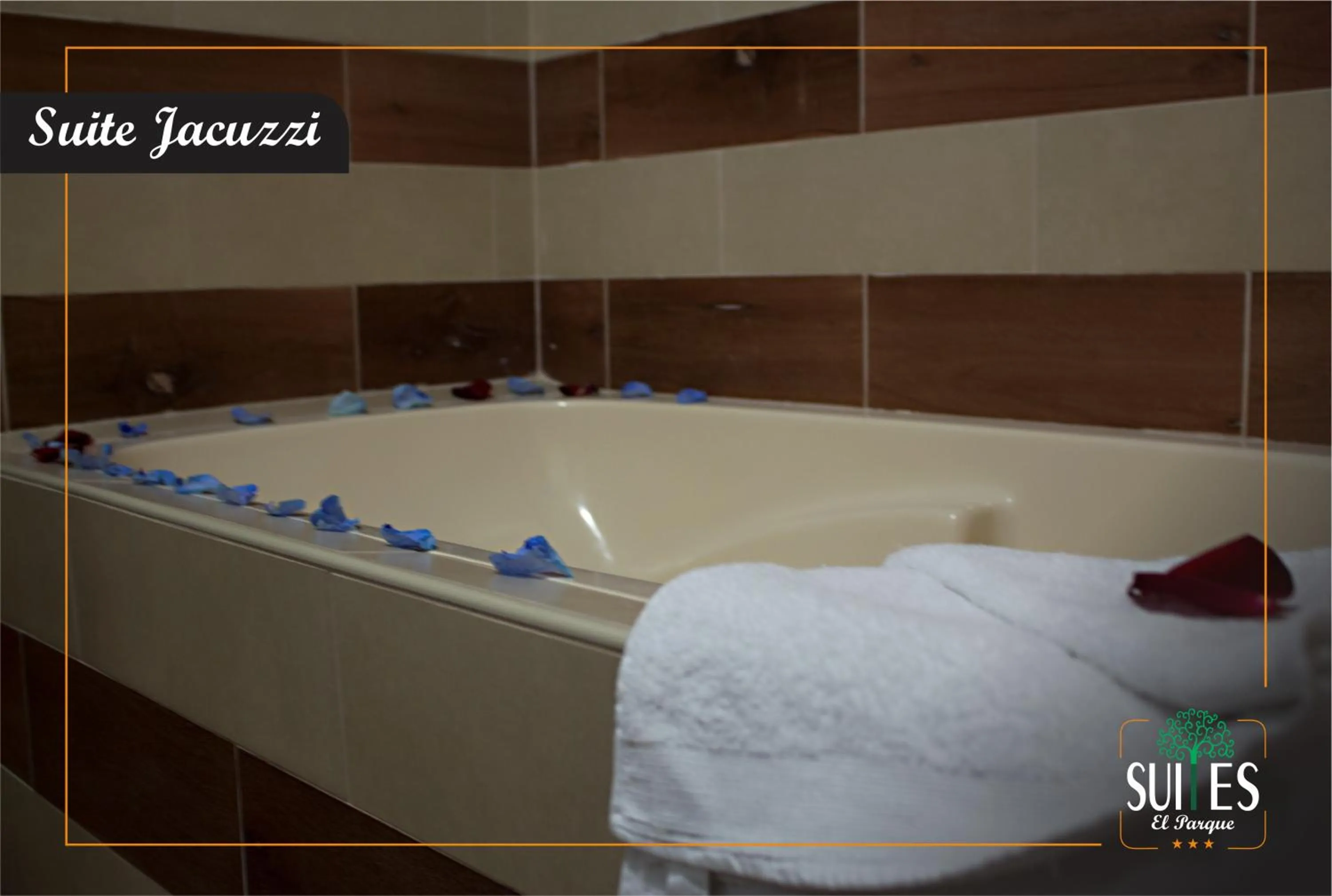 Twin Room with Bath in Suites El Parque