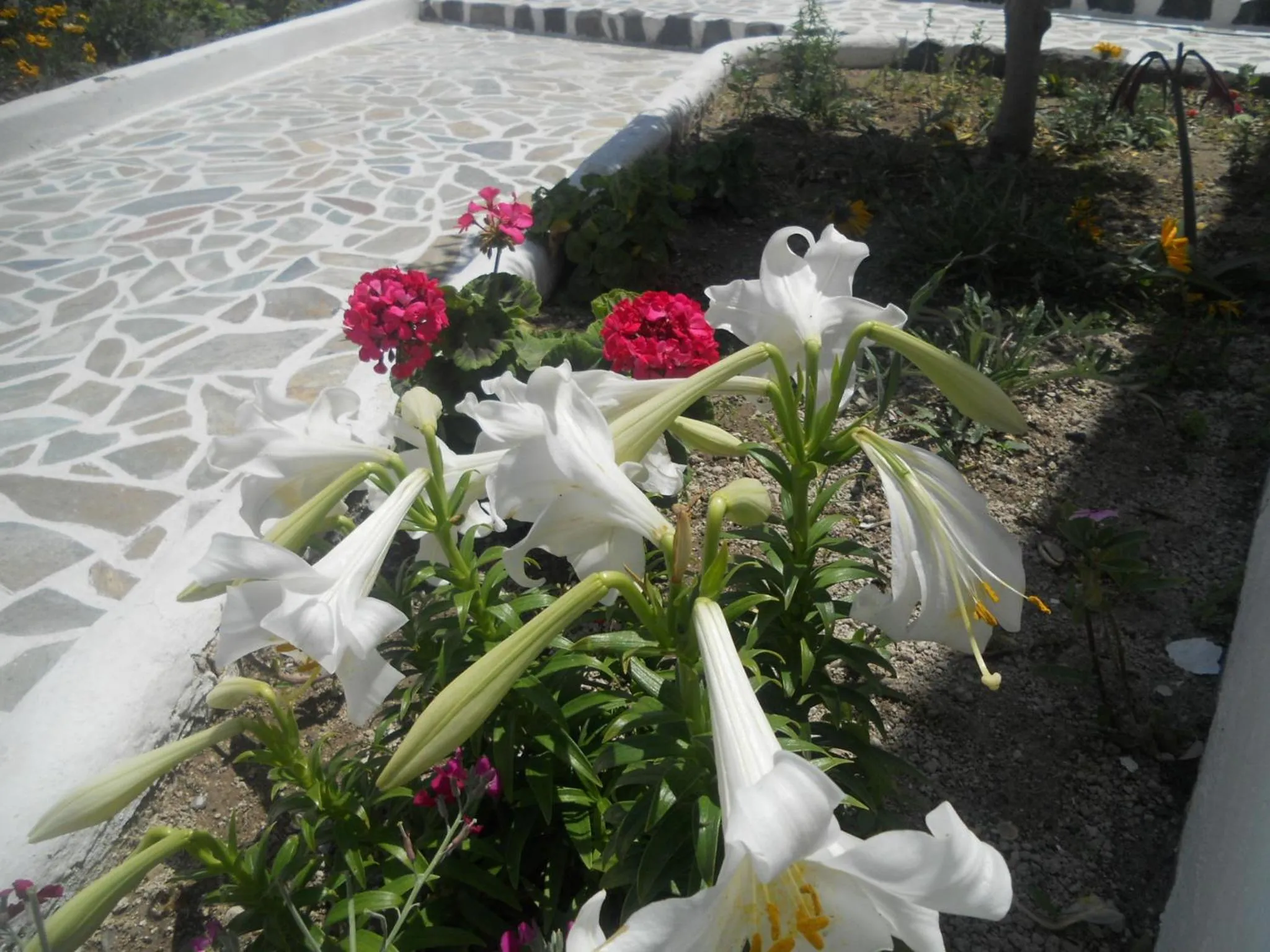Decorative detail in Villa Ostria