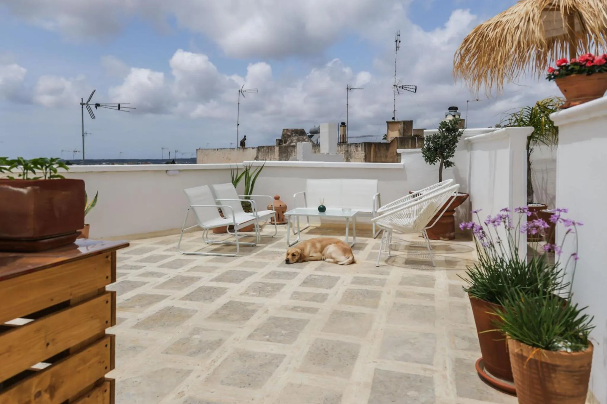 Balcony/Terrace in Sea Suites