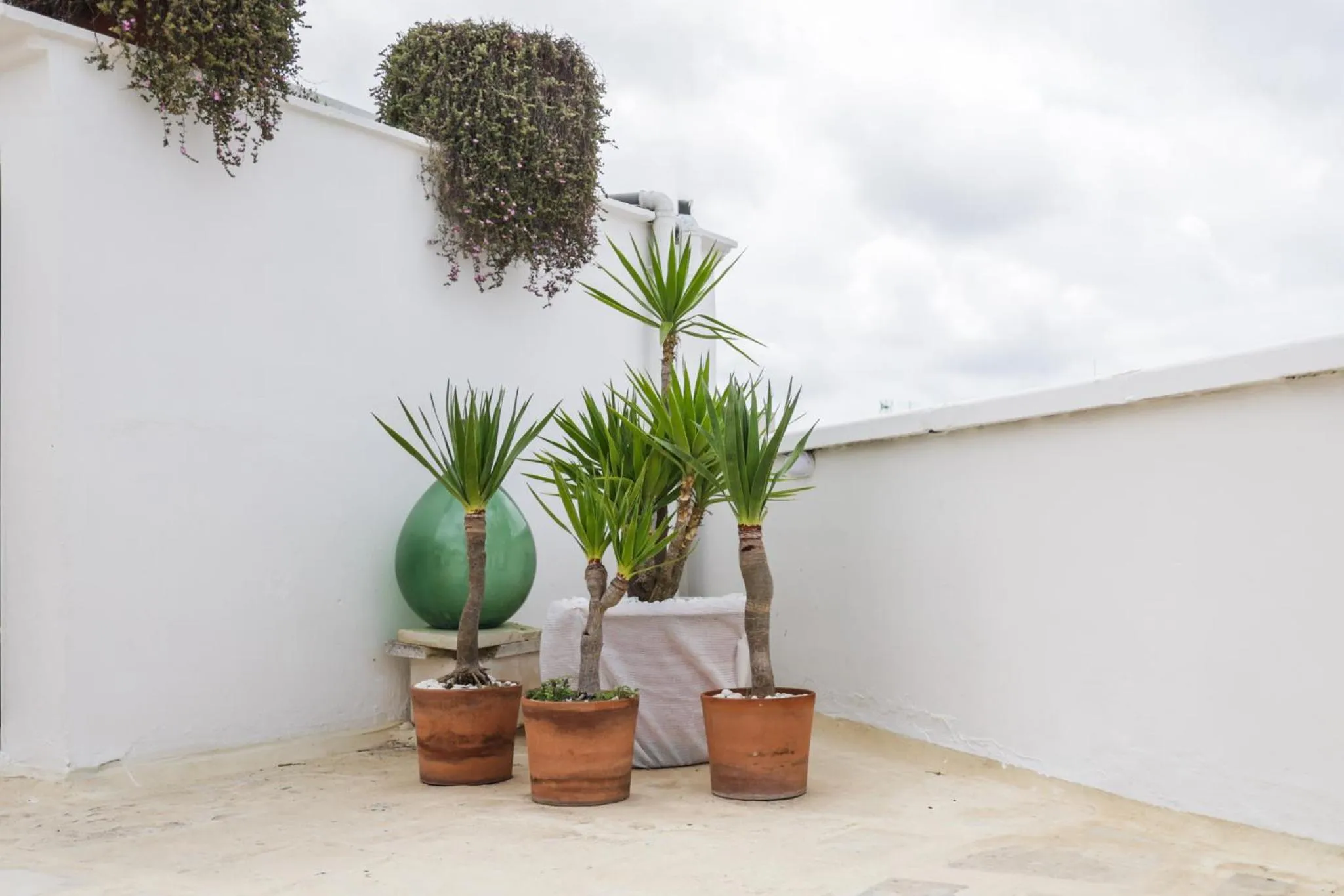 Garden in Sea Suites