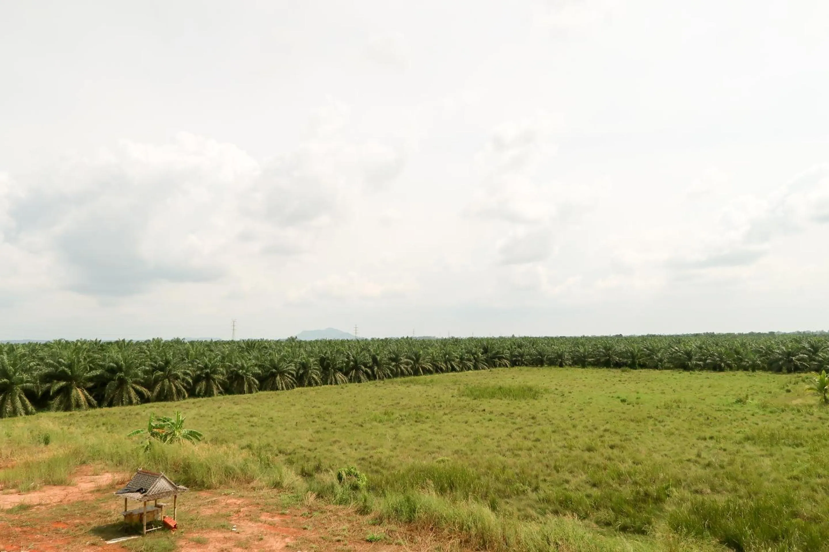View (from property/room) in Baan URT Suratthani Airport Hotel