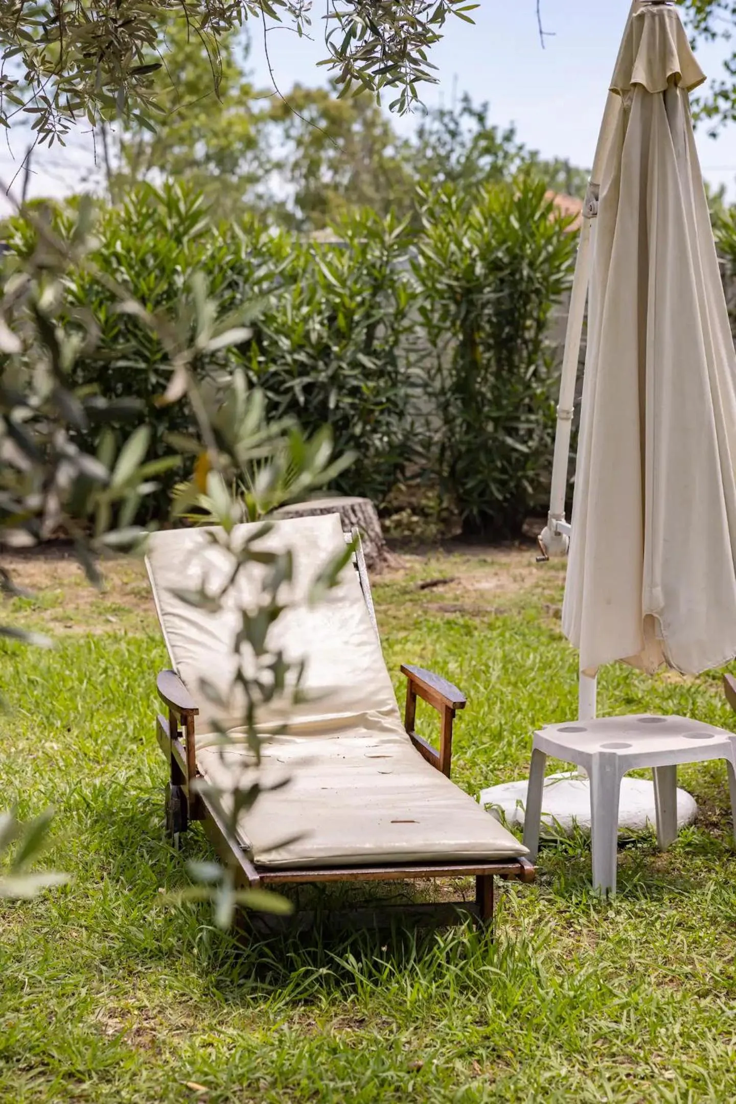 Garden in St. George Villa