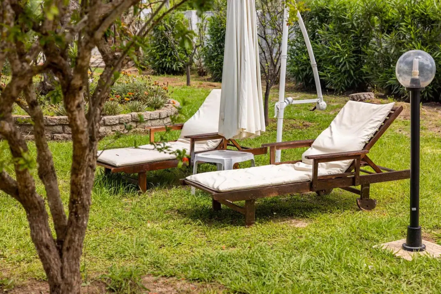 Garden in St. George Villa