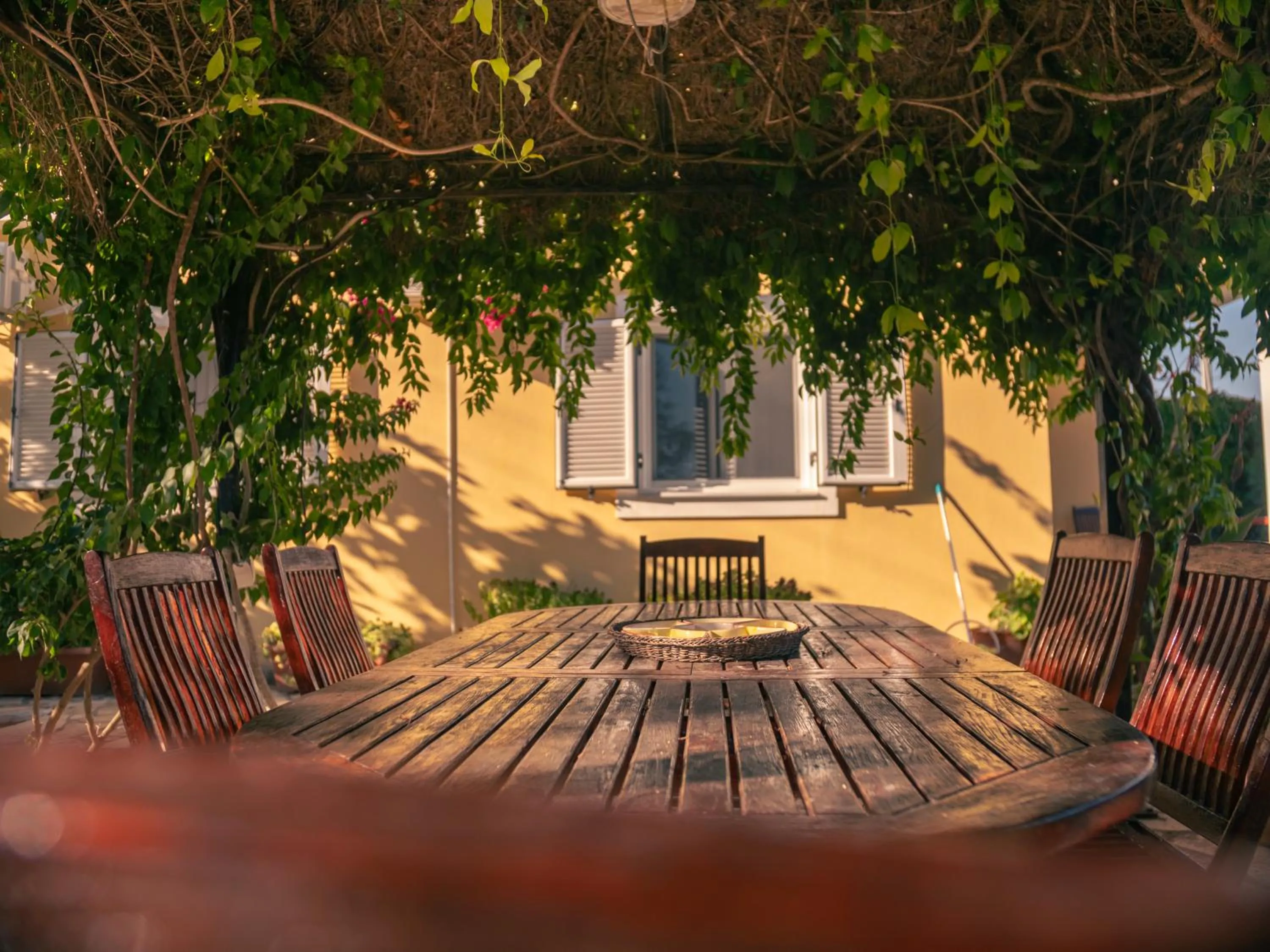Patio in St. George Villa