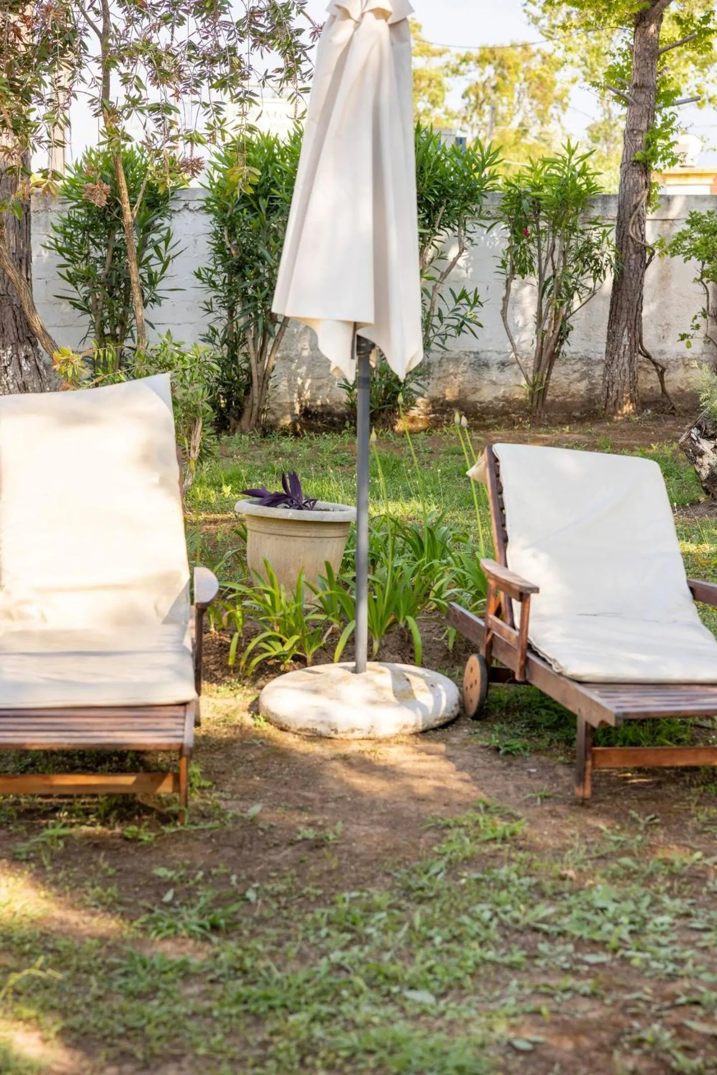 Garden in St. George Villa