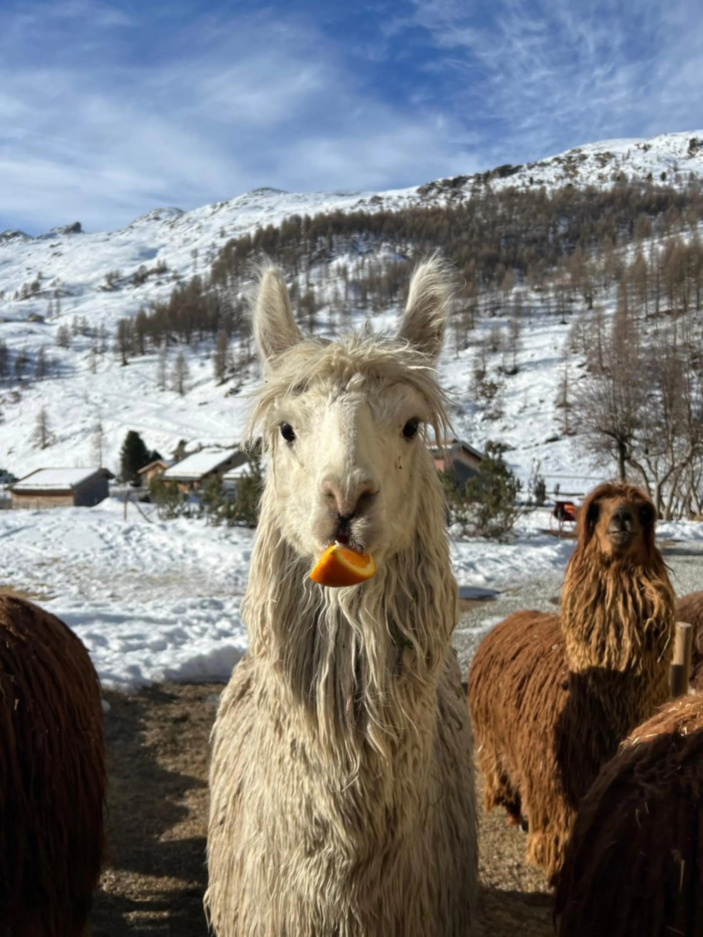 Natural landscape in Hotel Fex