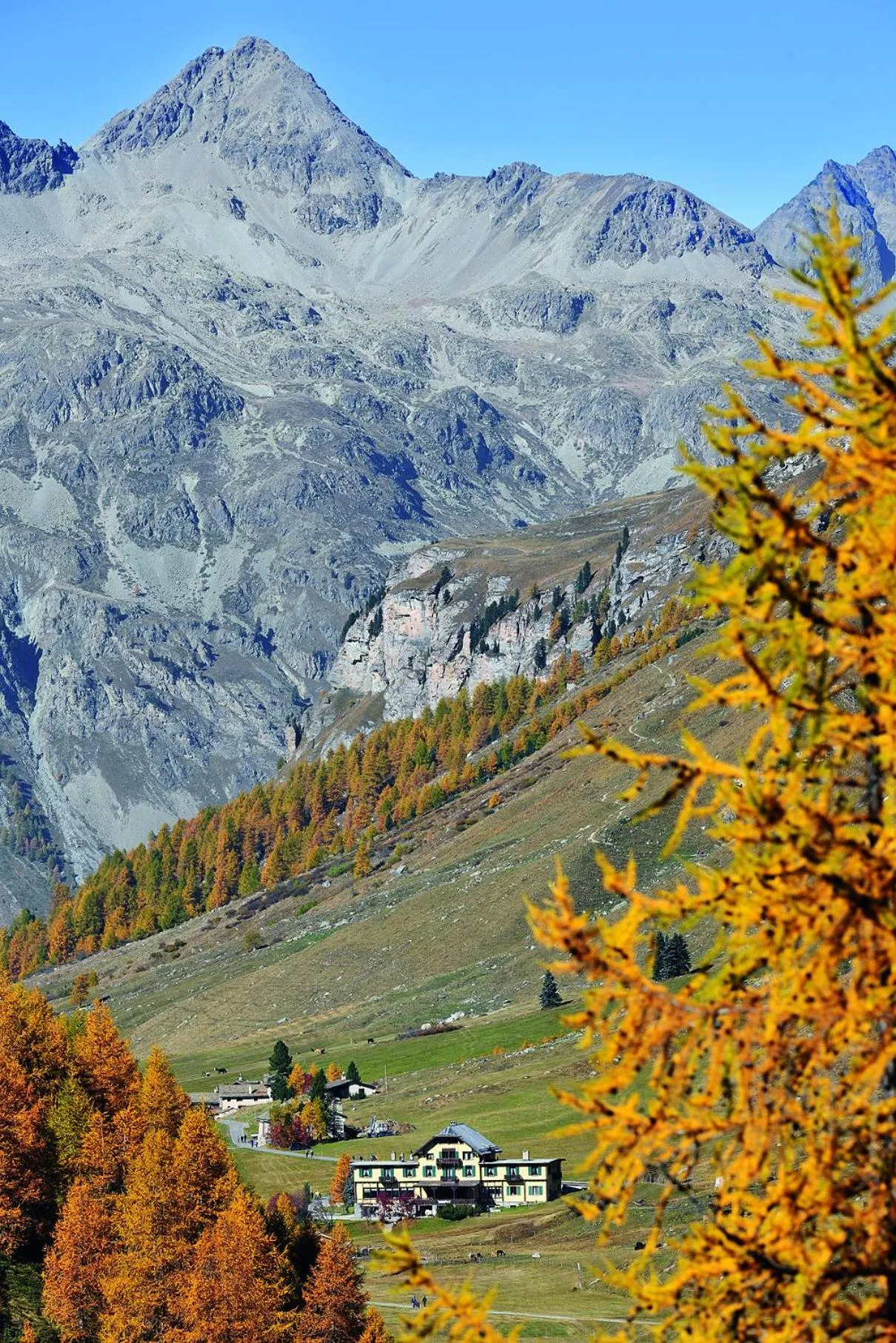 Natural landscape in Hotel Fex