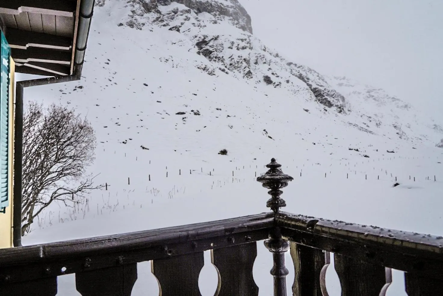 Mountain view in Hotel Fex