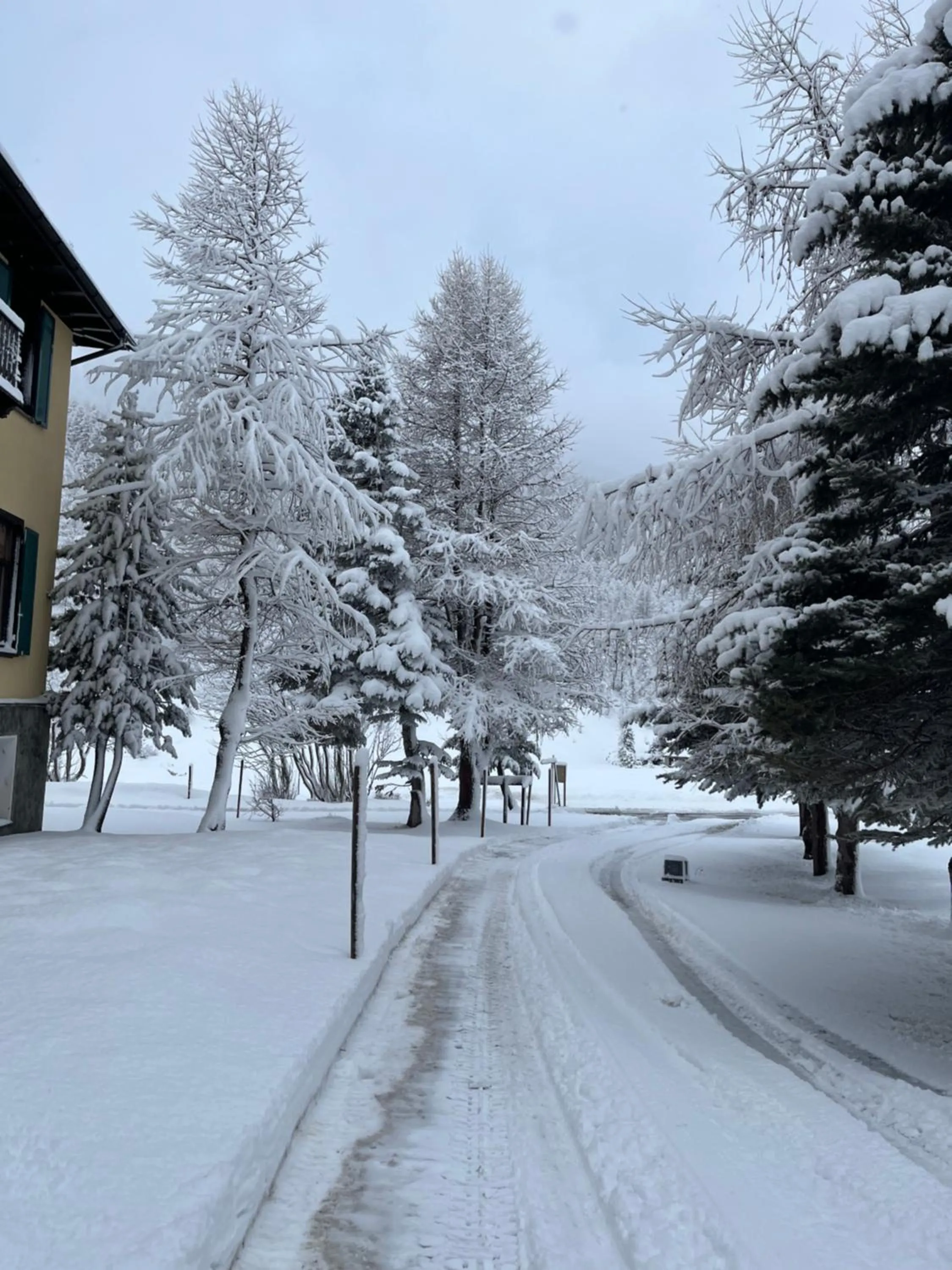 Property building in Hotel Fex