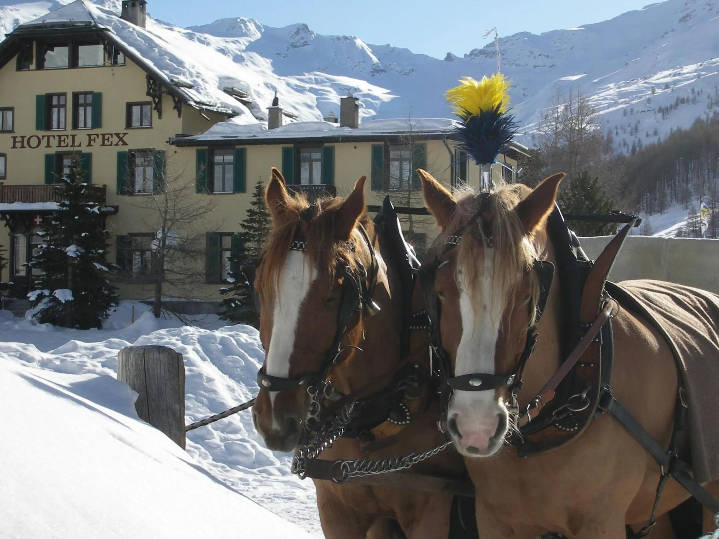 Winter in Hotel Fex