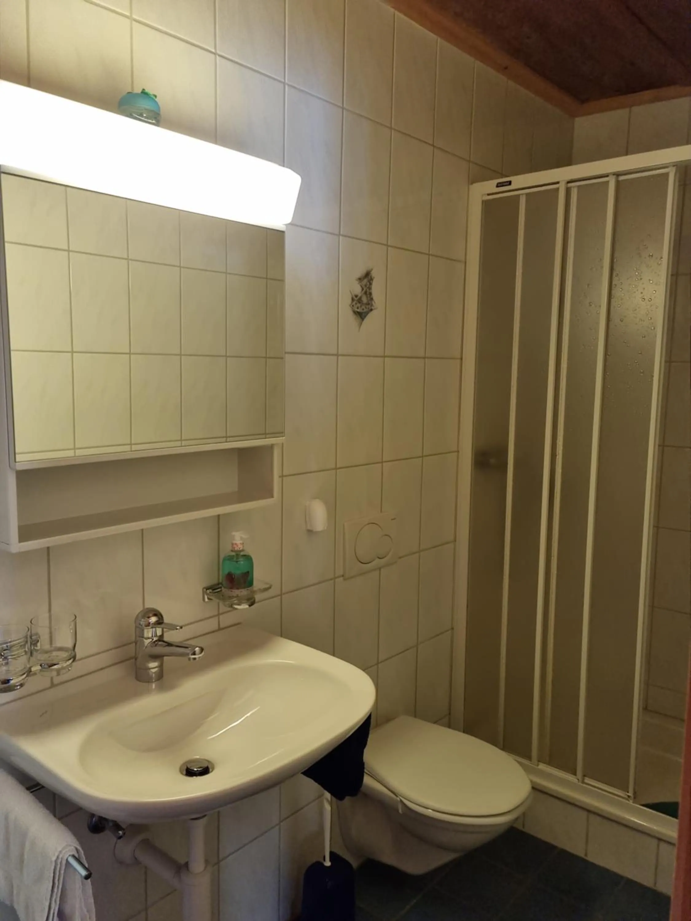 Shower in Zur Stilli Davos Dorf