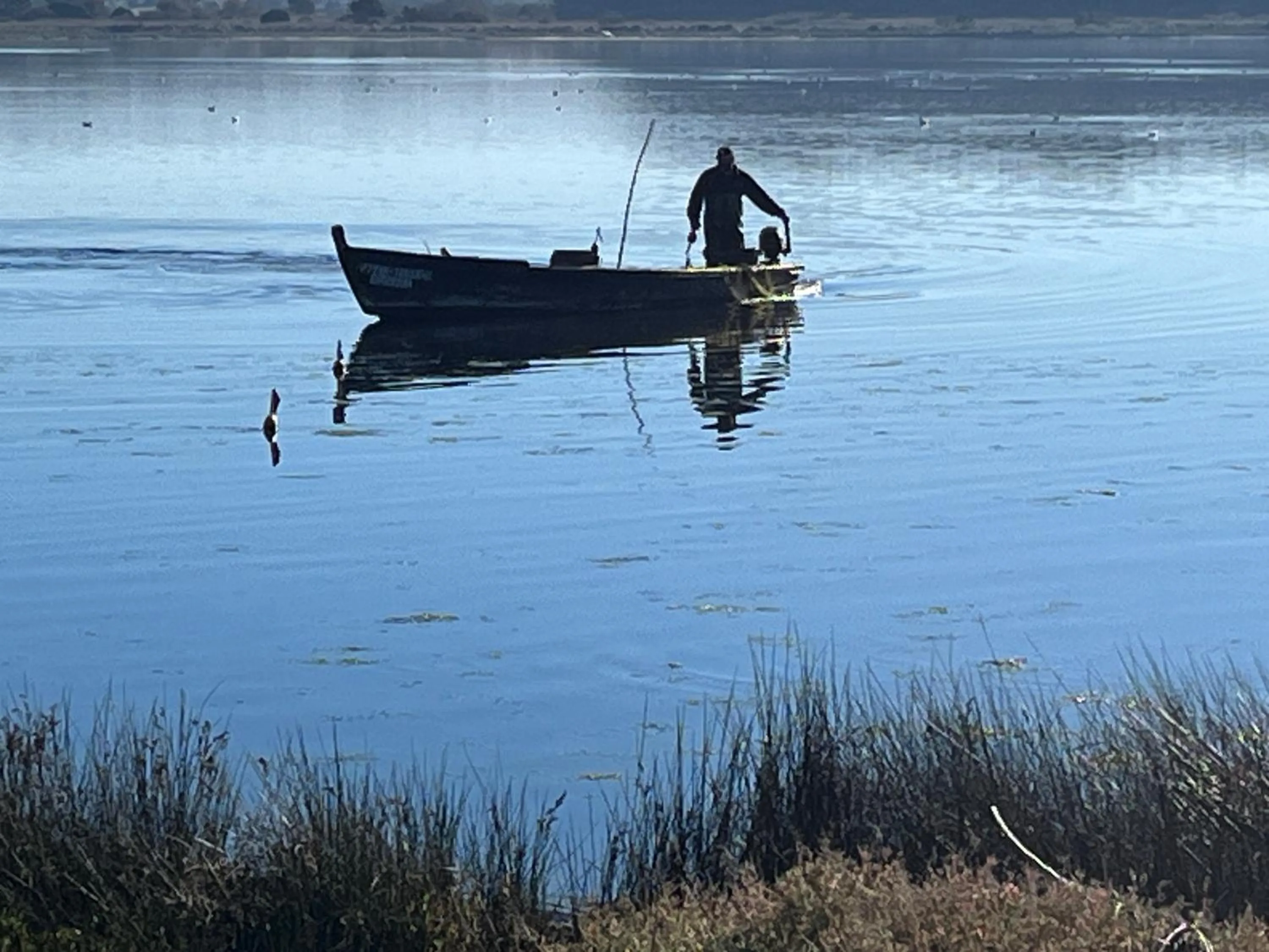 Natural landscape in The Literary Man Obidos Hotel