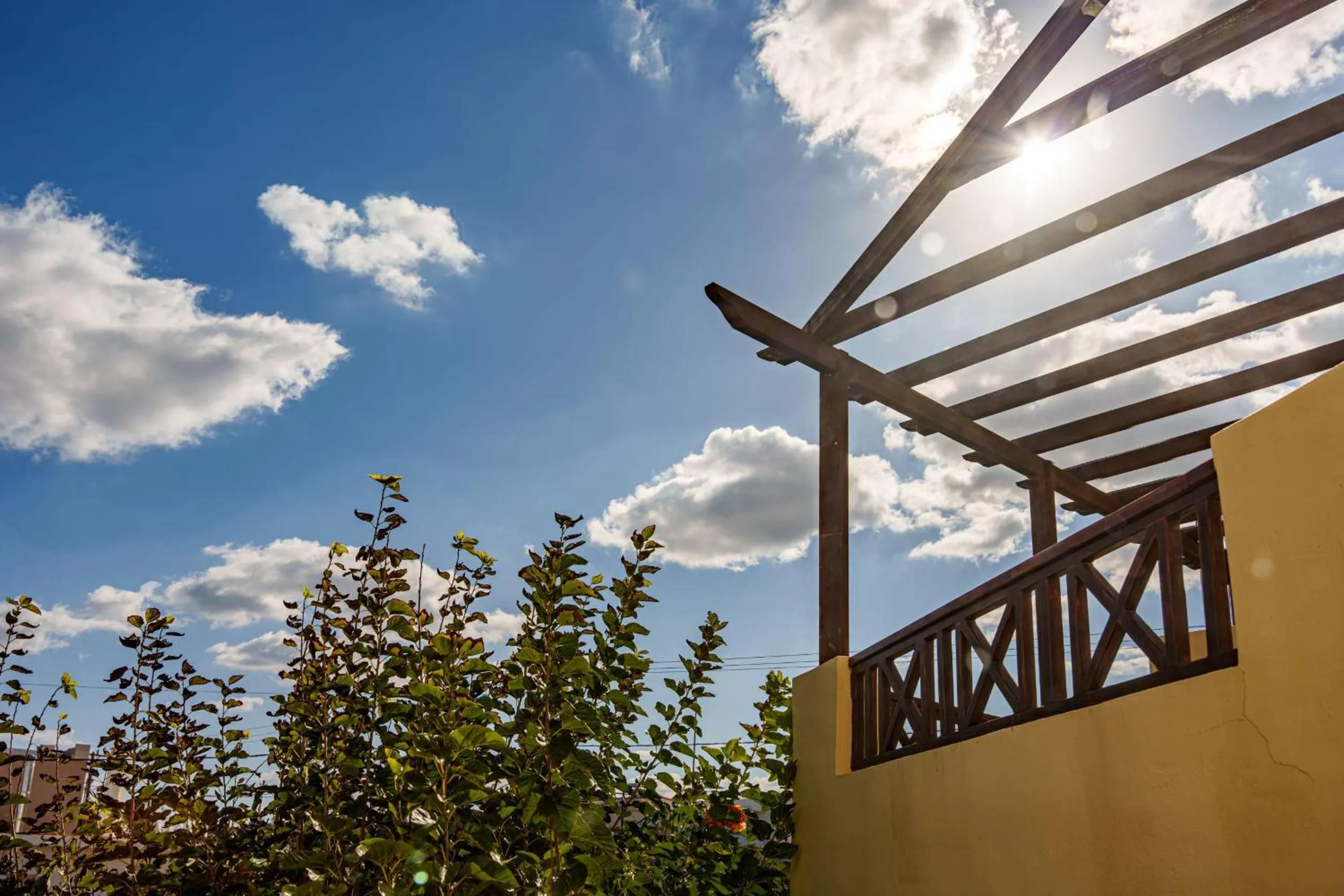 View (from property/room) in Dedalos Beach Hotel