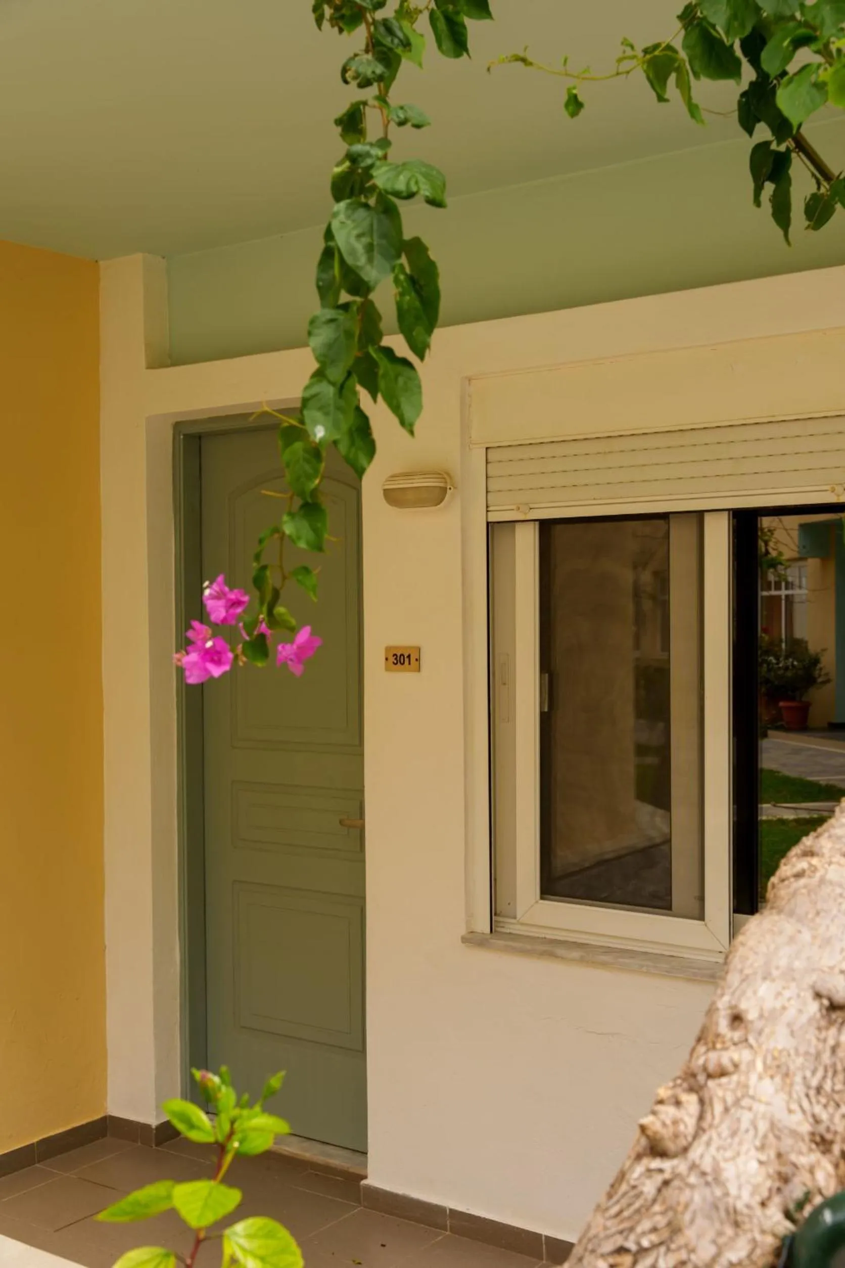 Garden in Dedalos Beach Hotel