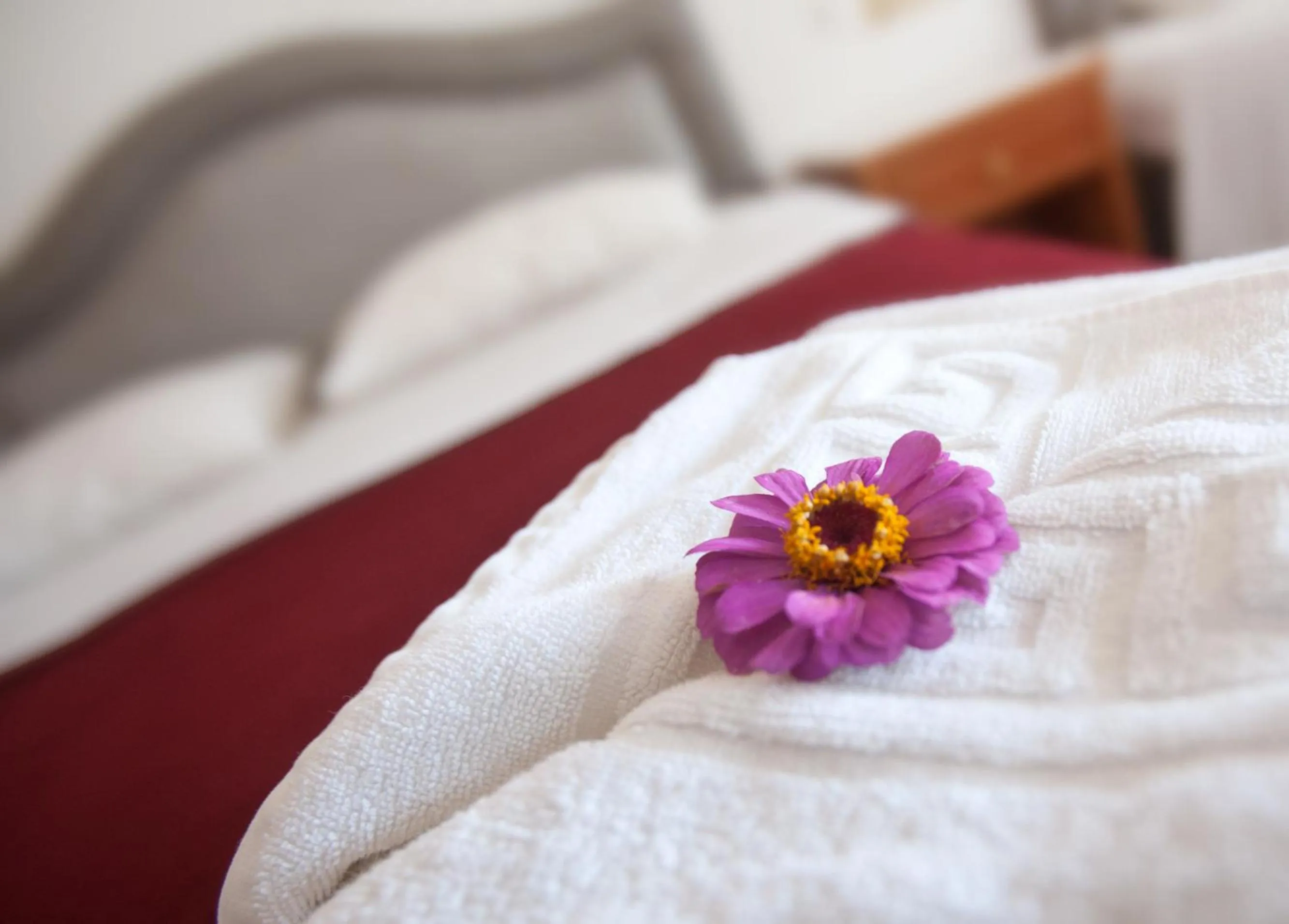 Bed in Dedalos Beach Hotel