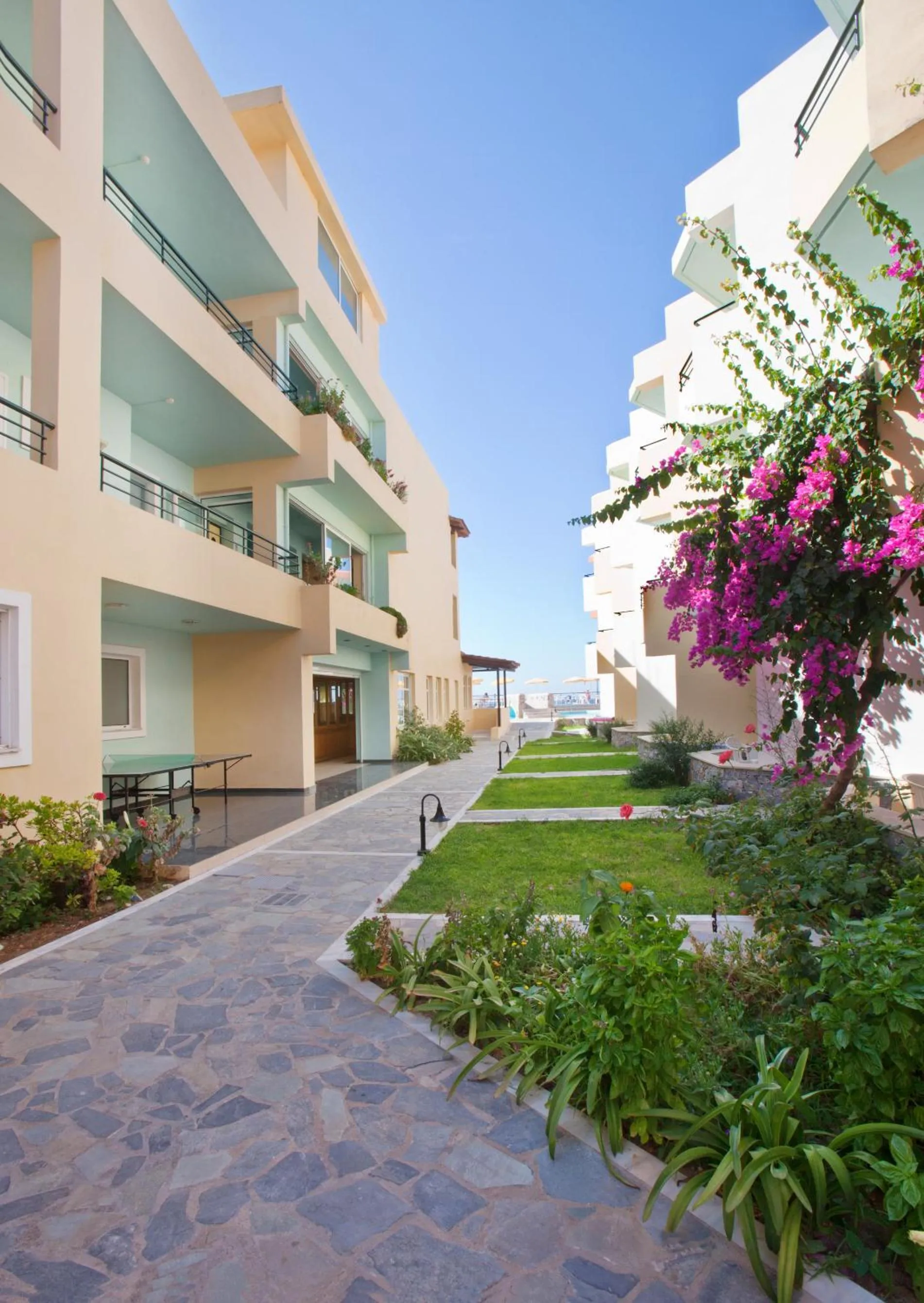 On site in Dedalos Beach Hotel