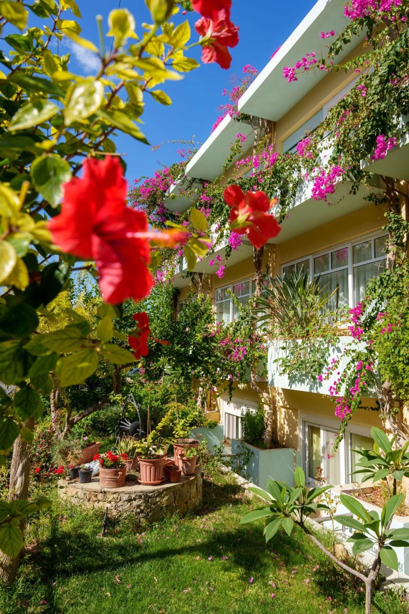 Garden in Dedalos Beach Hotel