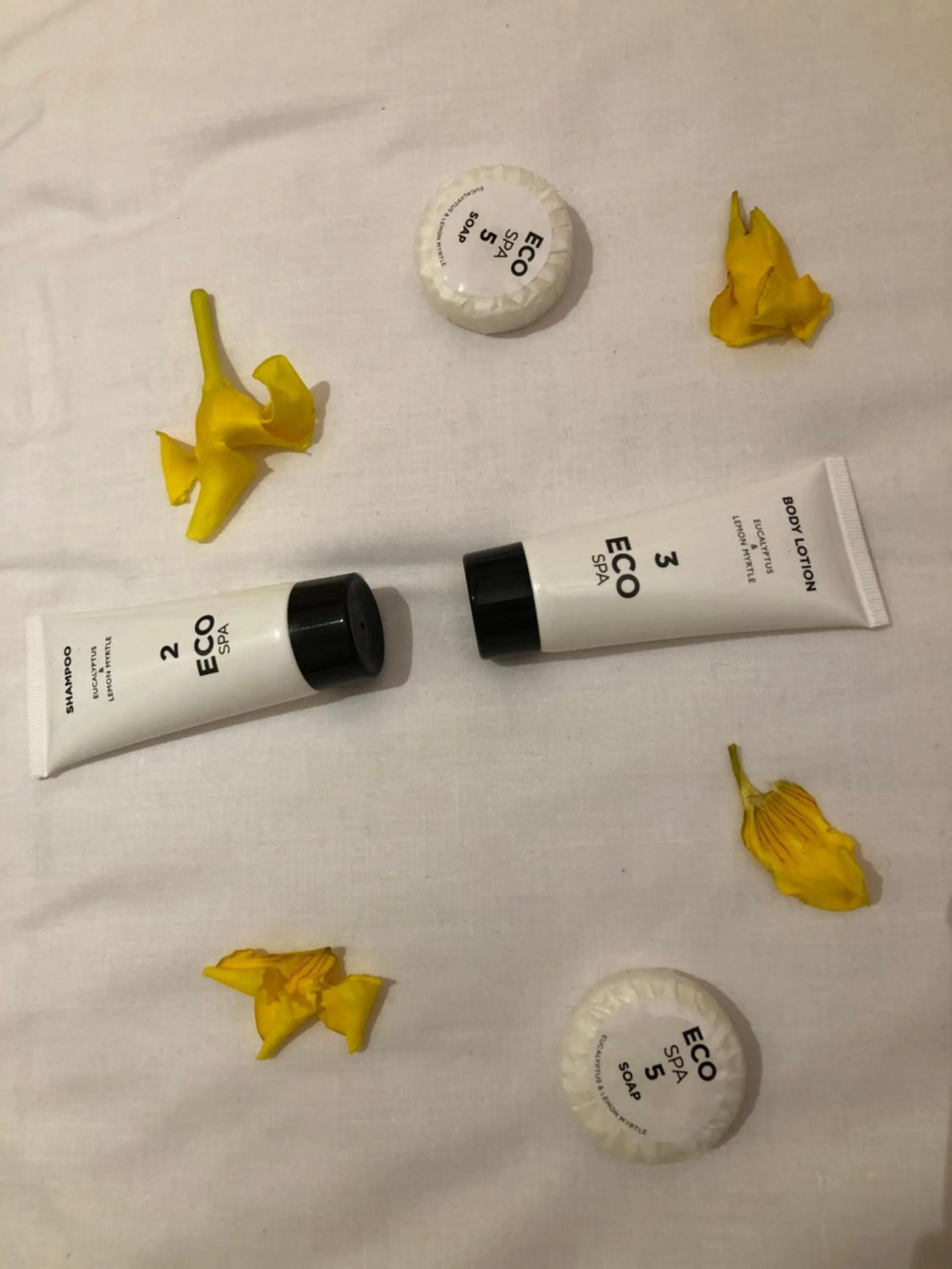 Bathroom in Bottoms Up