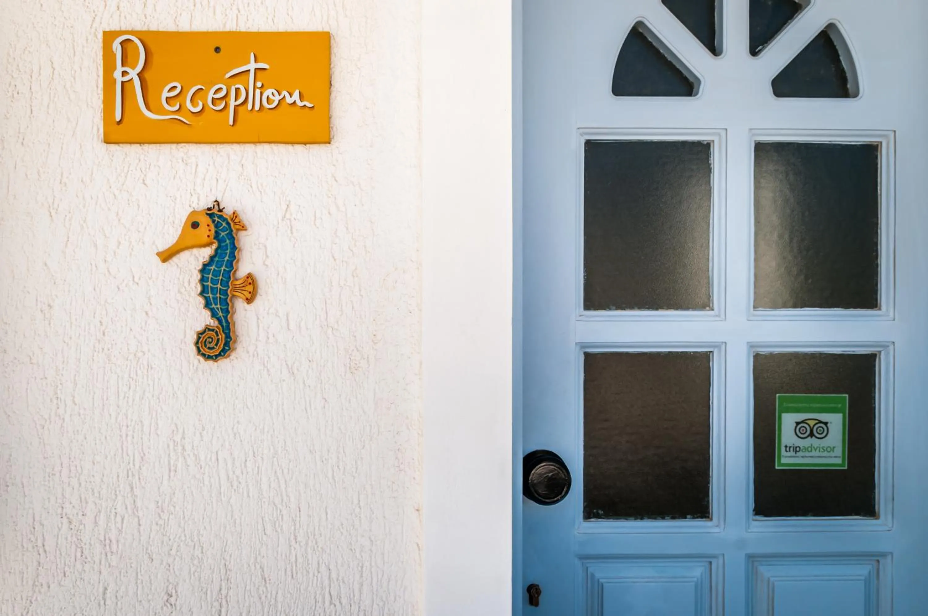 Decorative detail in Hotel Ippocampos Studios