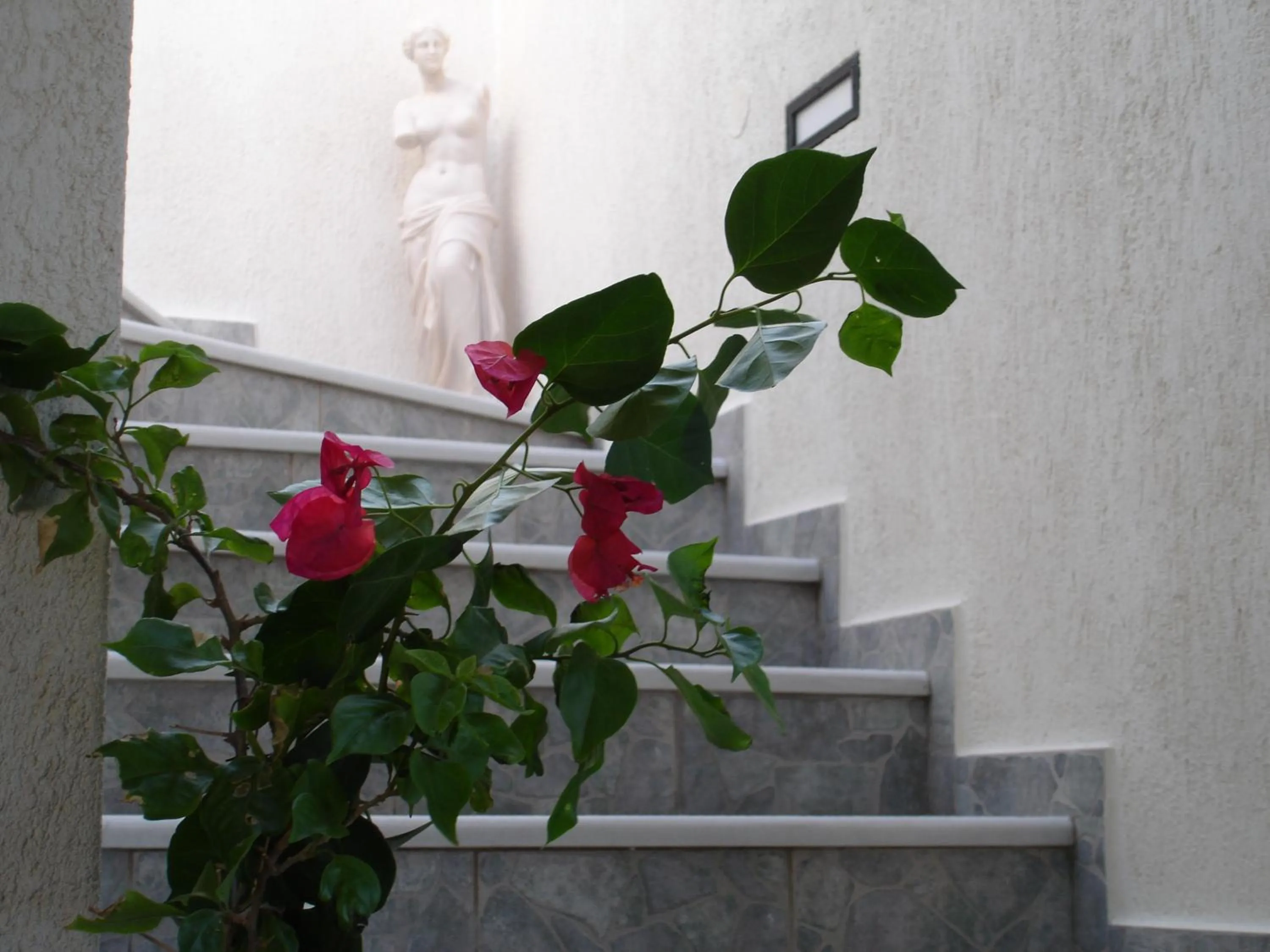 Decorative detail in Hotel Ippocampos Studios