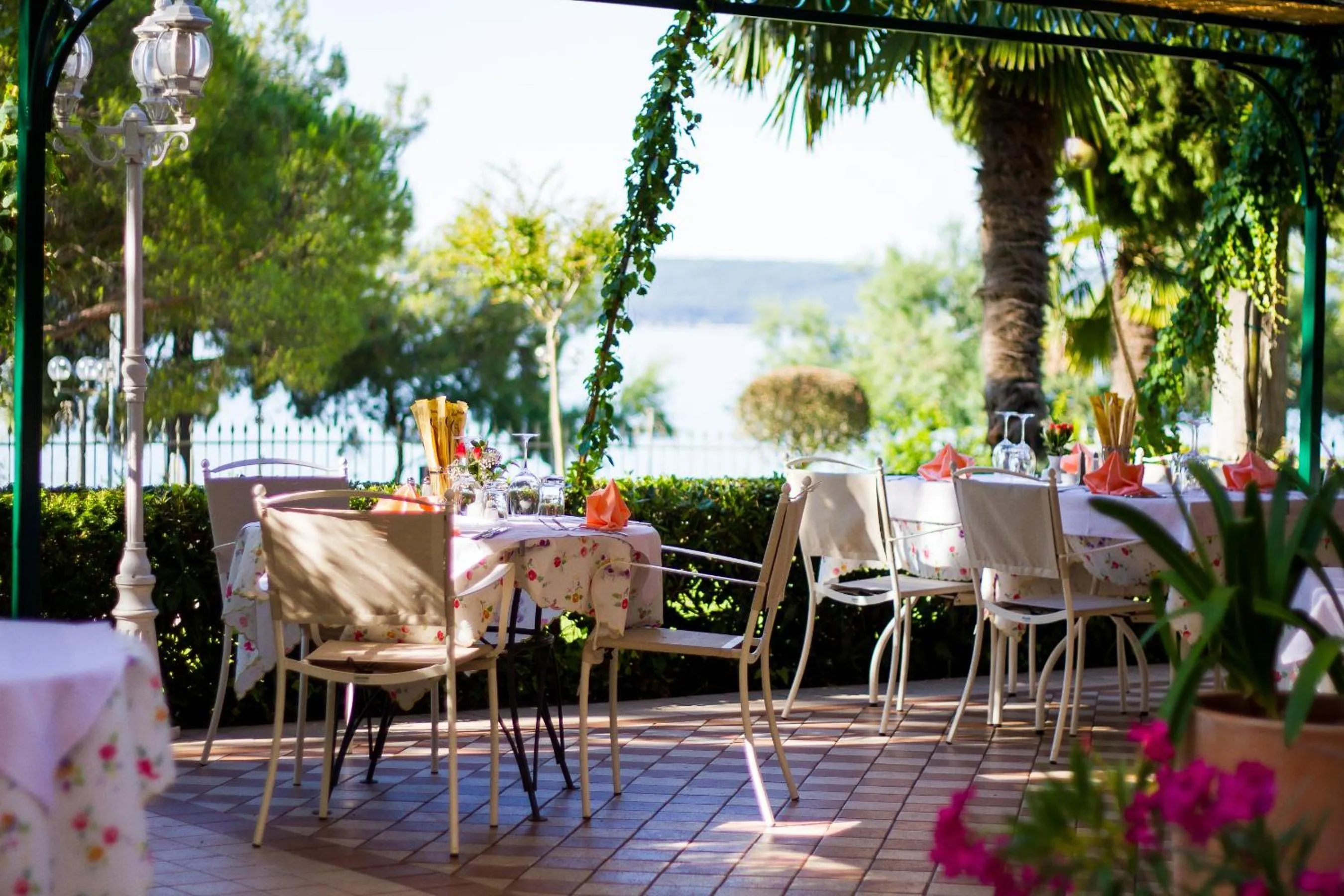 Restaurant/places to eat in Hotel Marko