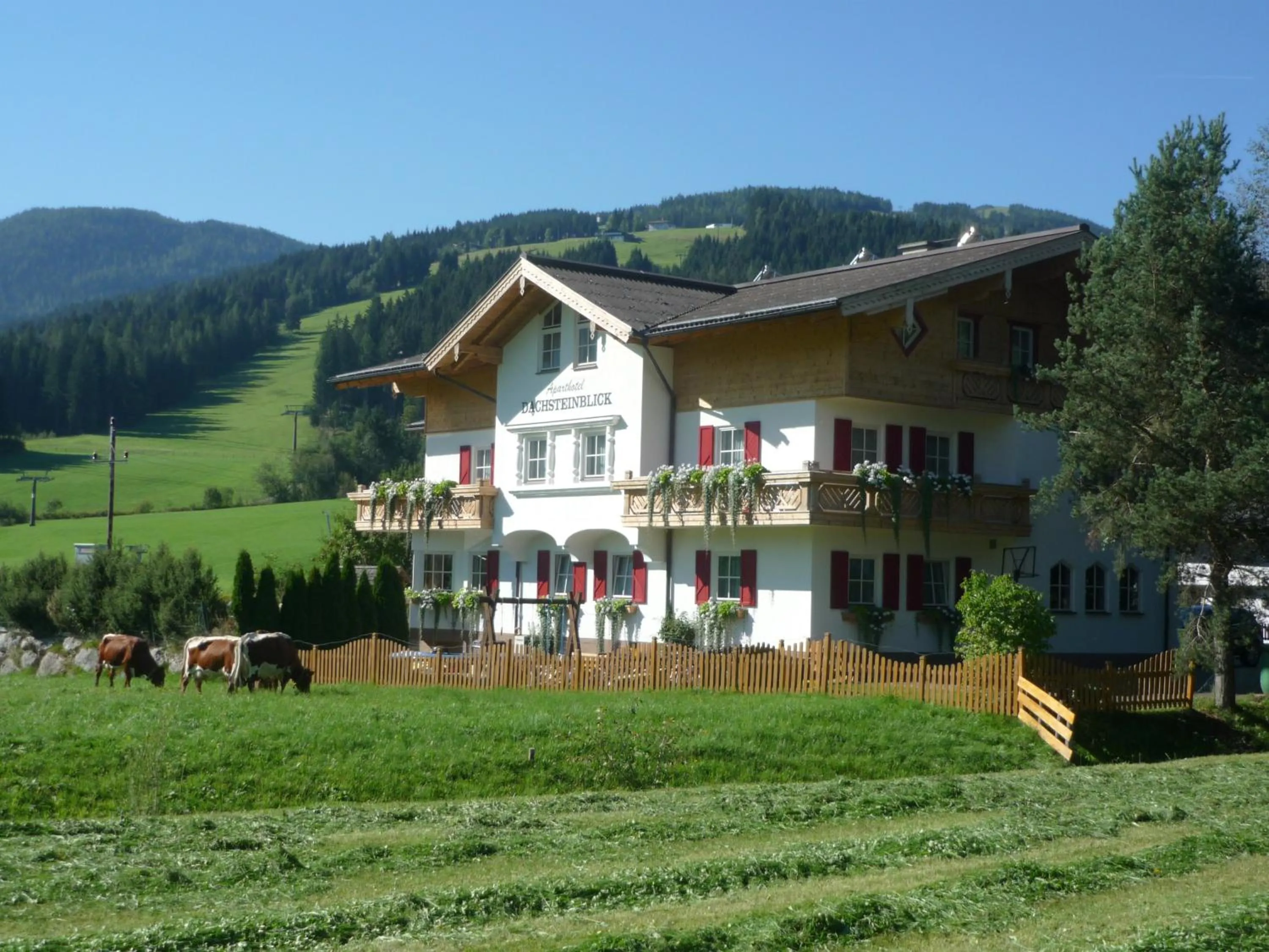 Property building in Aparthotel Dachsteinblick