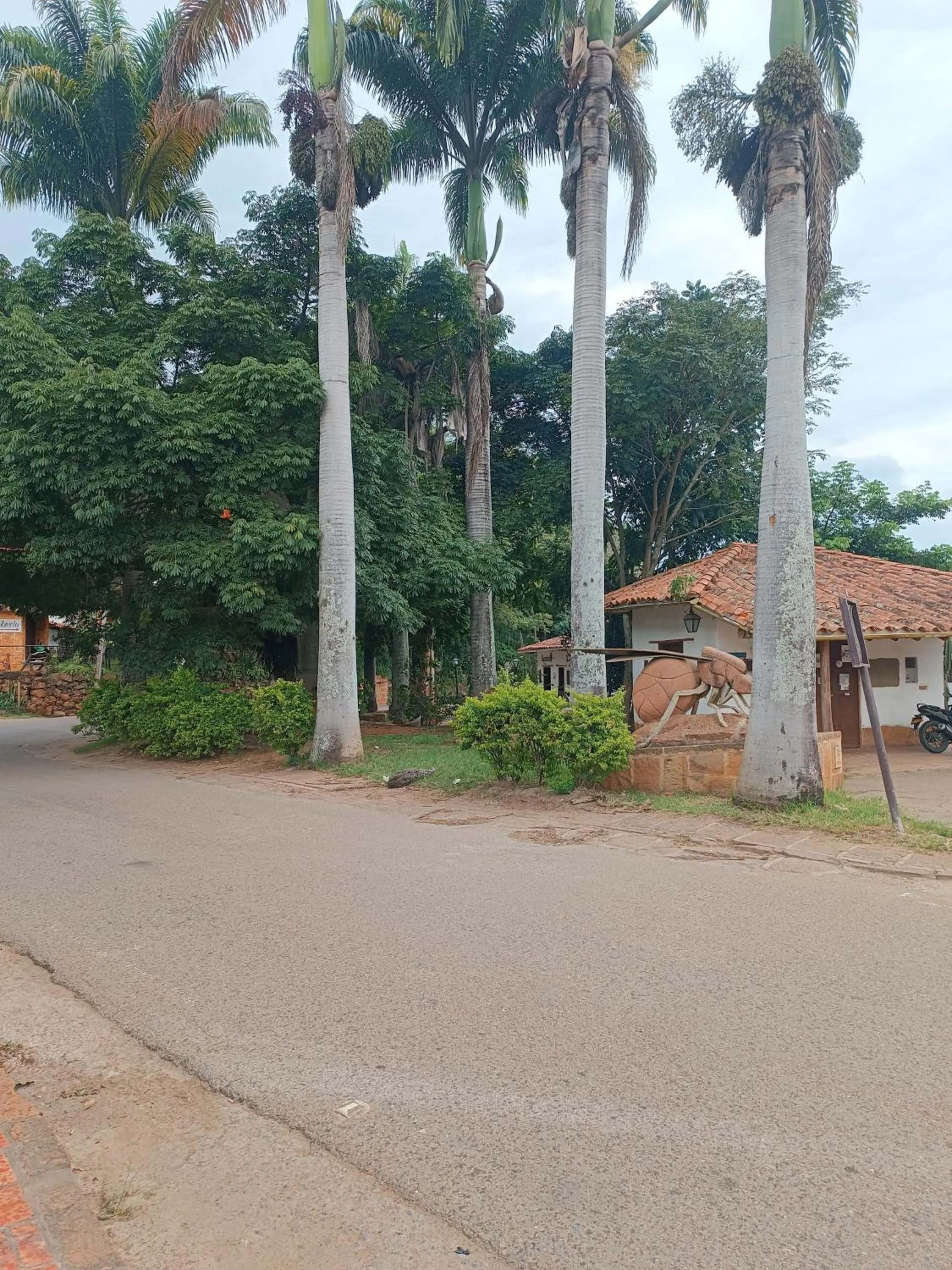 MONCOGUA Casa de Hospedaje