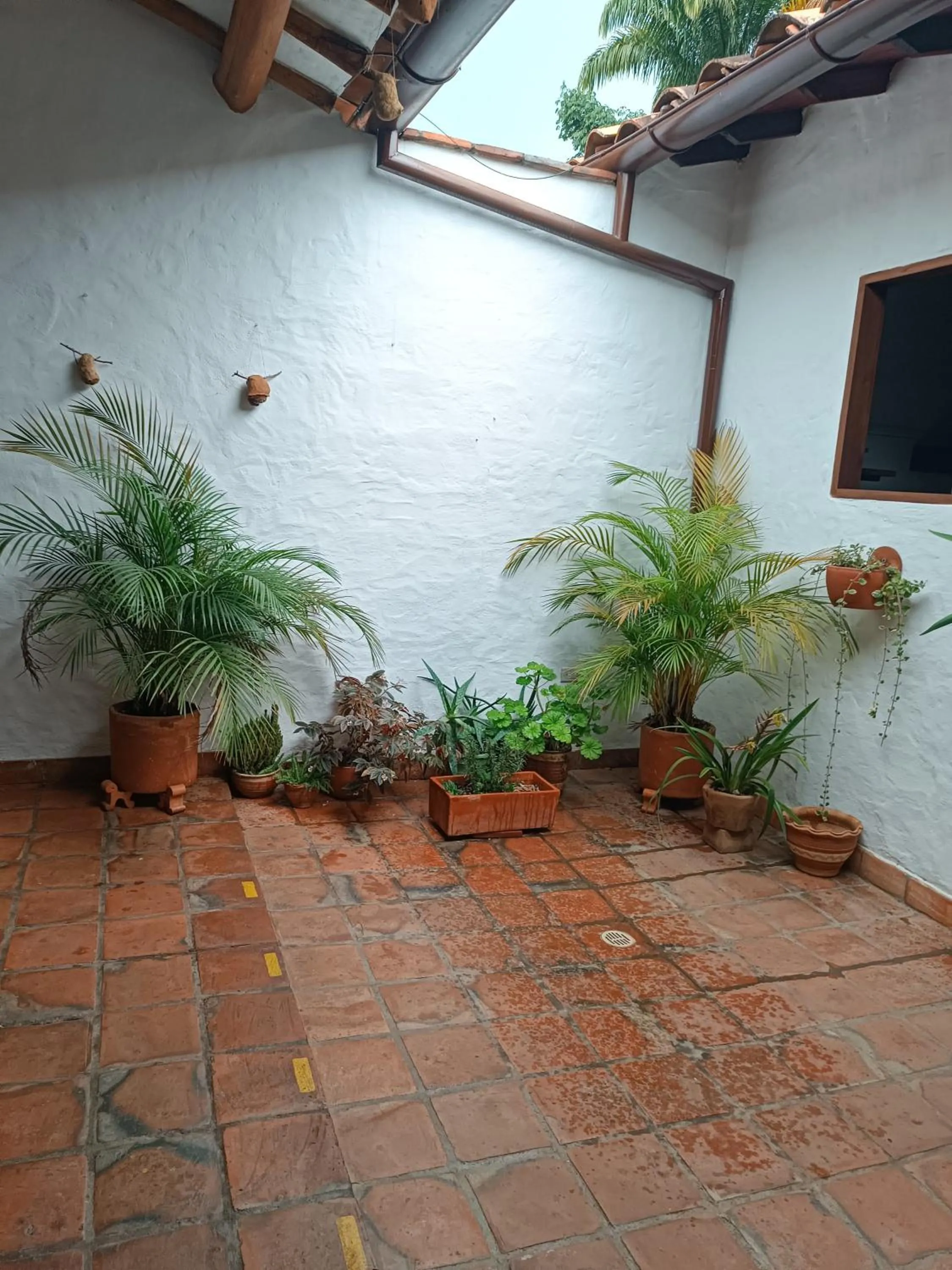 MONCOGUA Casa de Hospedaje