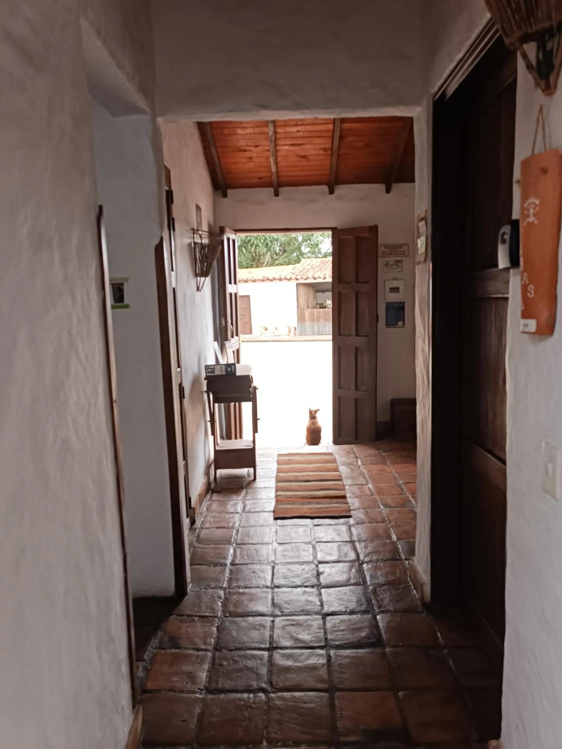 MONCOGUA Casa de Hospedaje